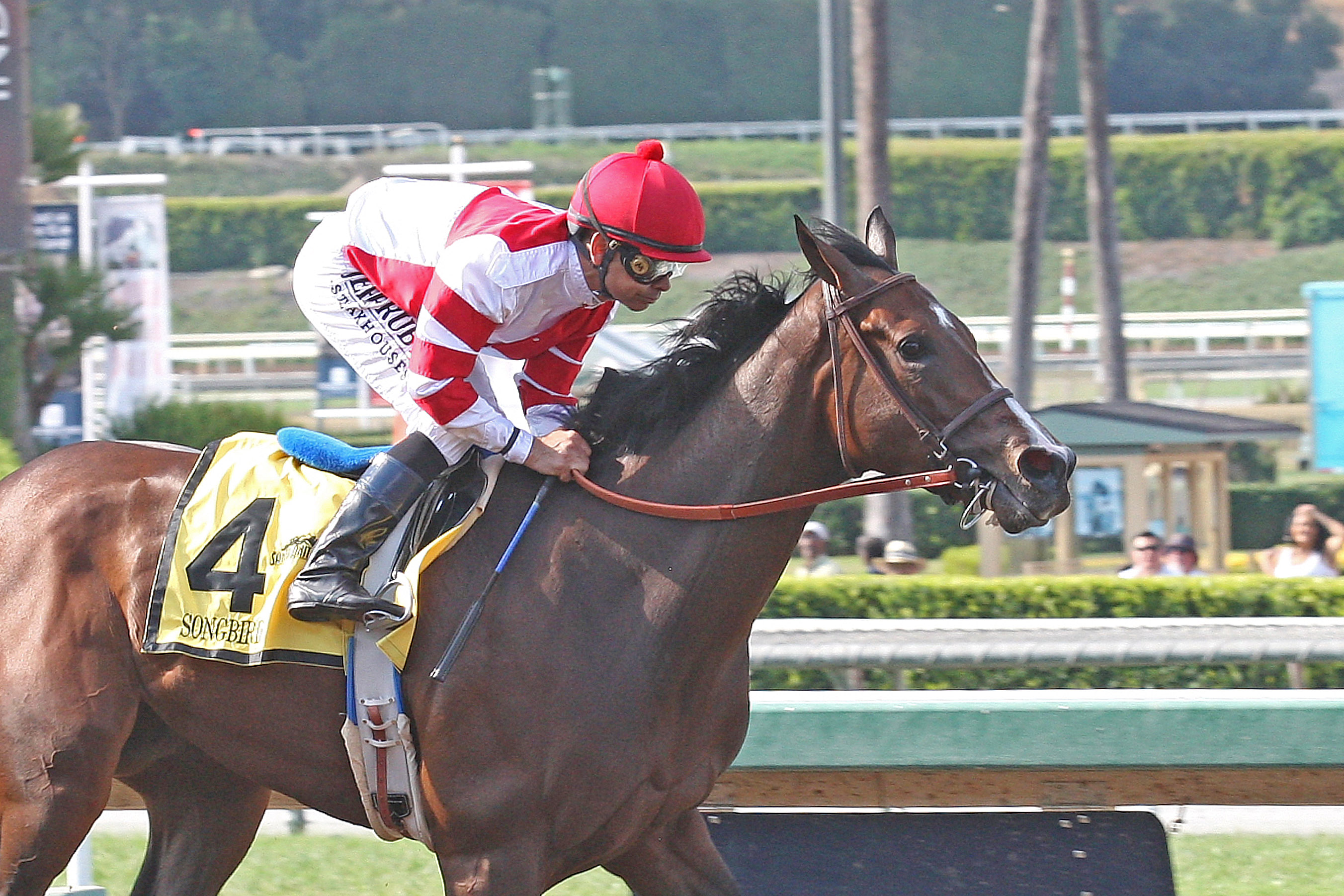 Songbird wins Summertime Oaks