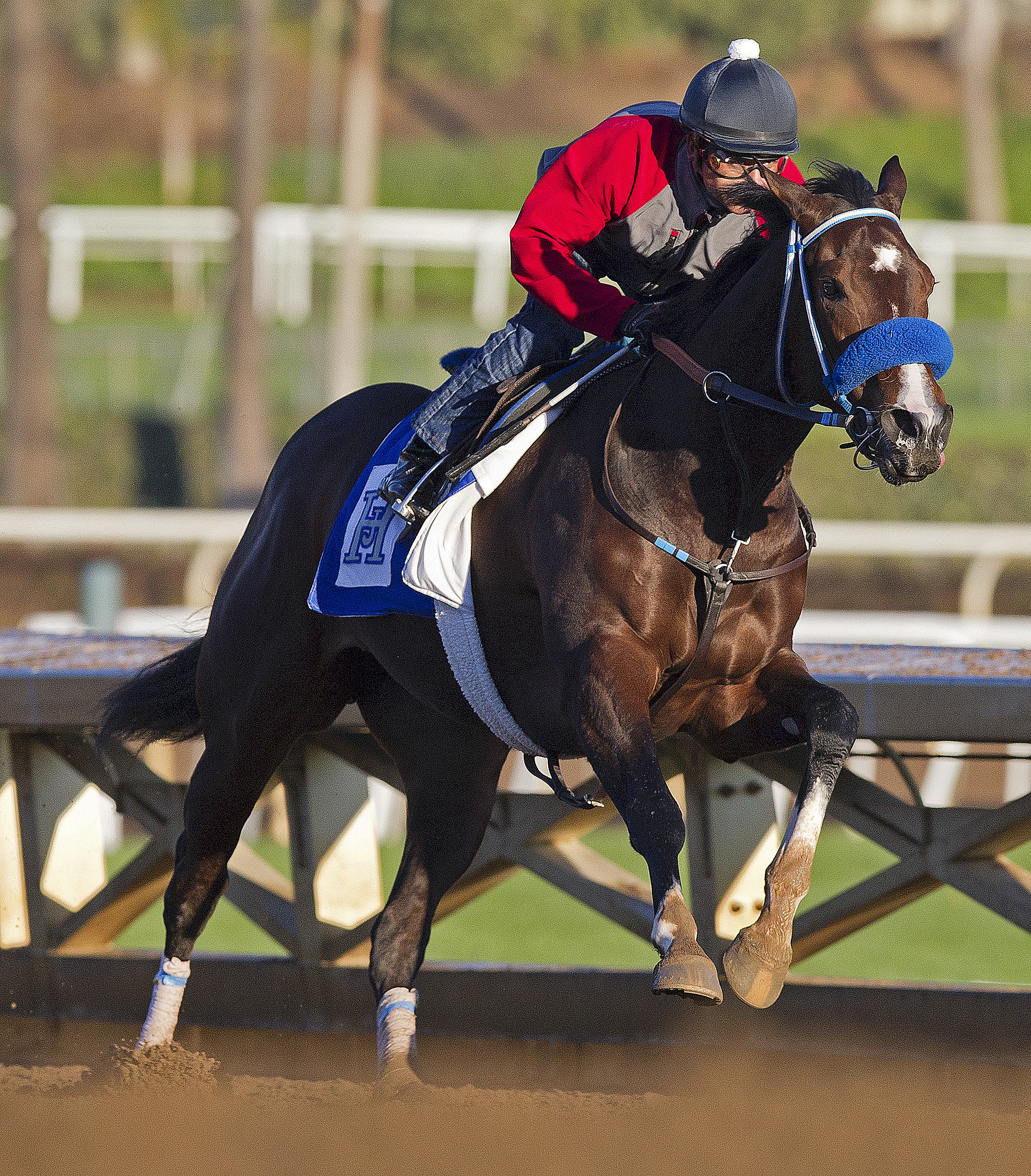 Songbird
