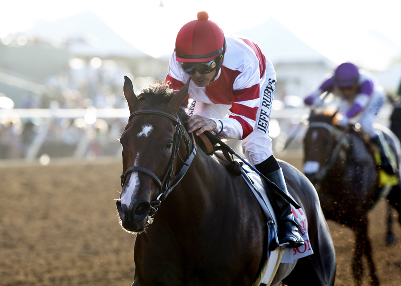 Songbird 9-5-2015