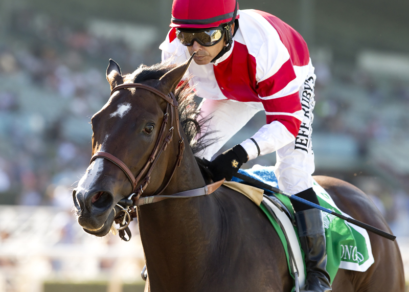 Songbird 9-26-2015