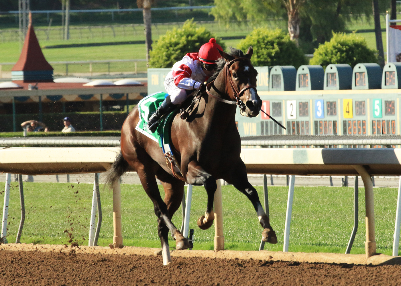 Songbird marquee