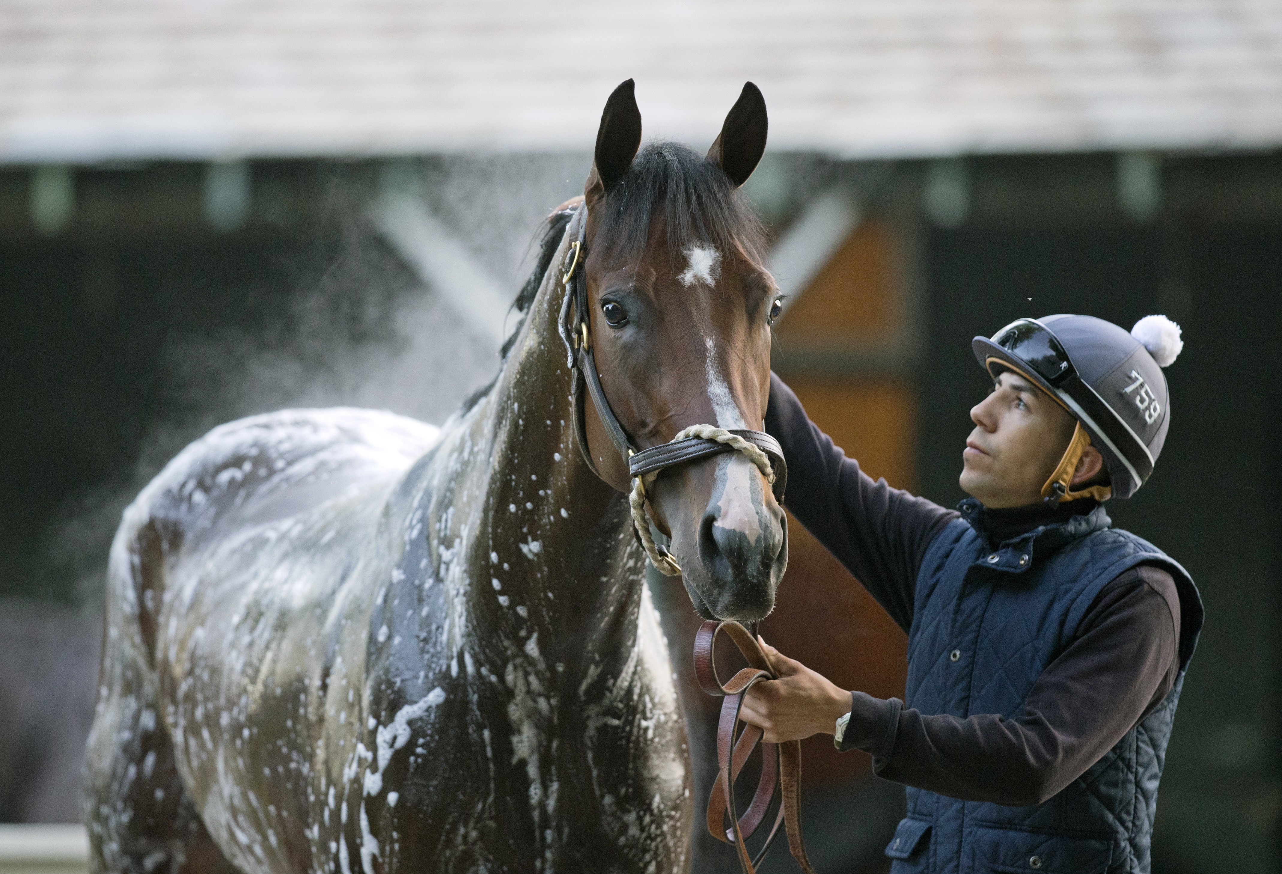 Songbird with Edgar Rodriguez