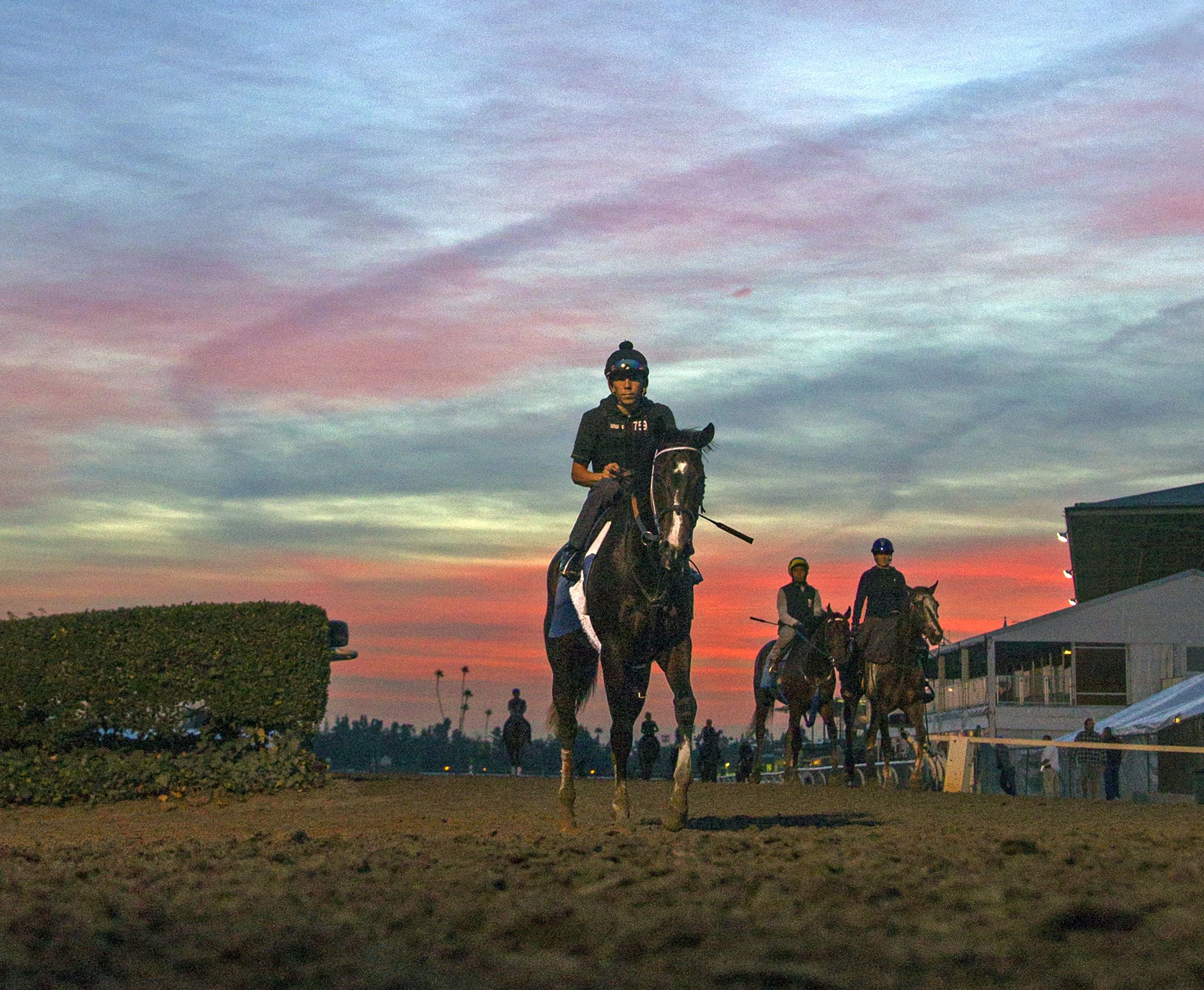 Songbird works at Santa Anita on Oct. 27