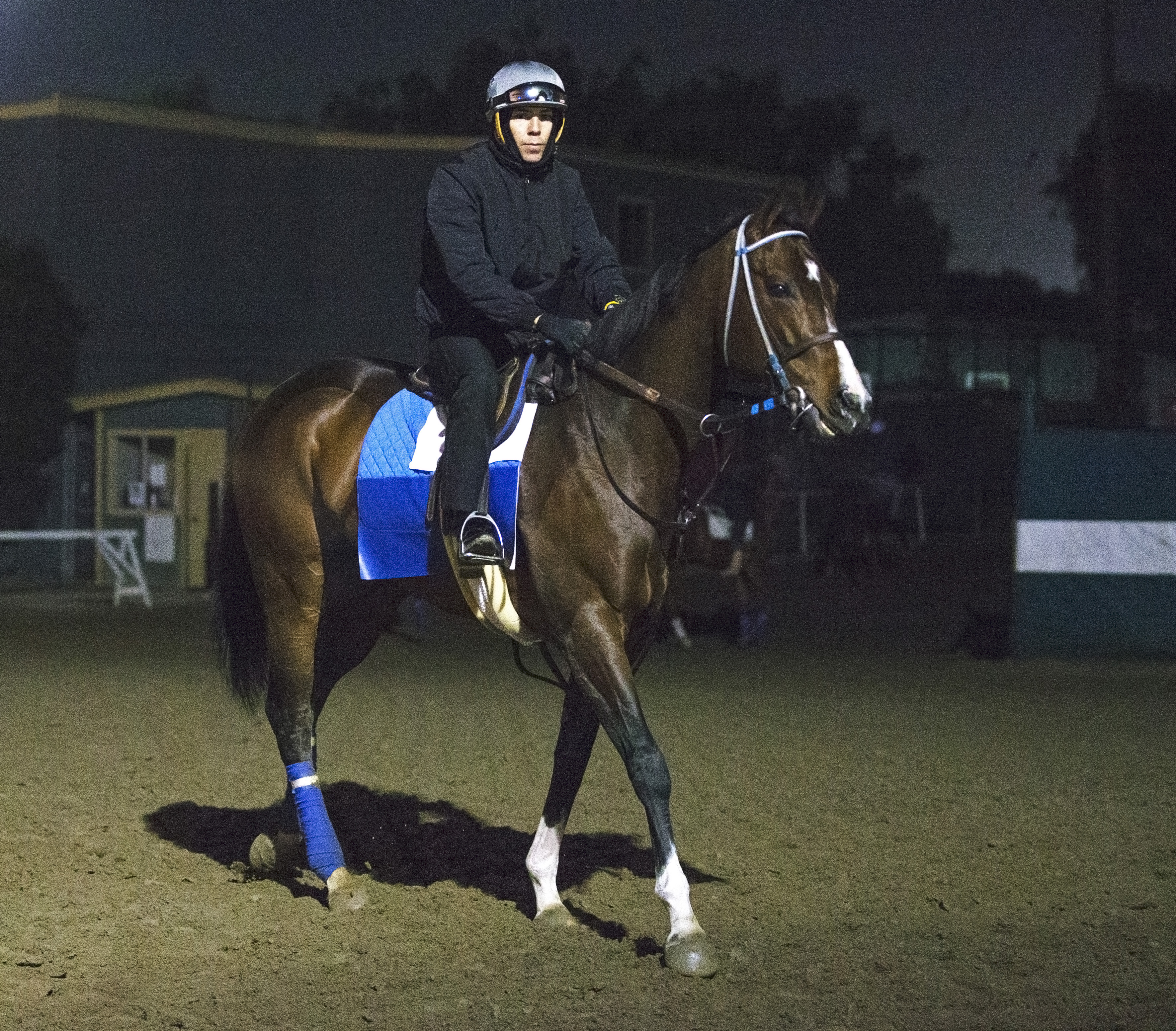 Songbird at Santa Anita on Feb. 27