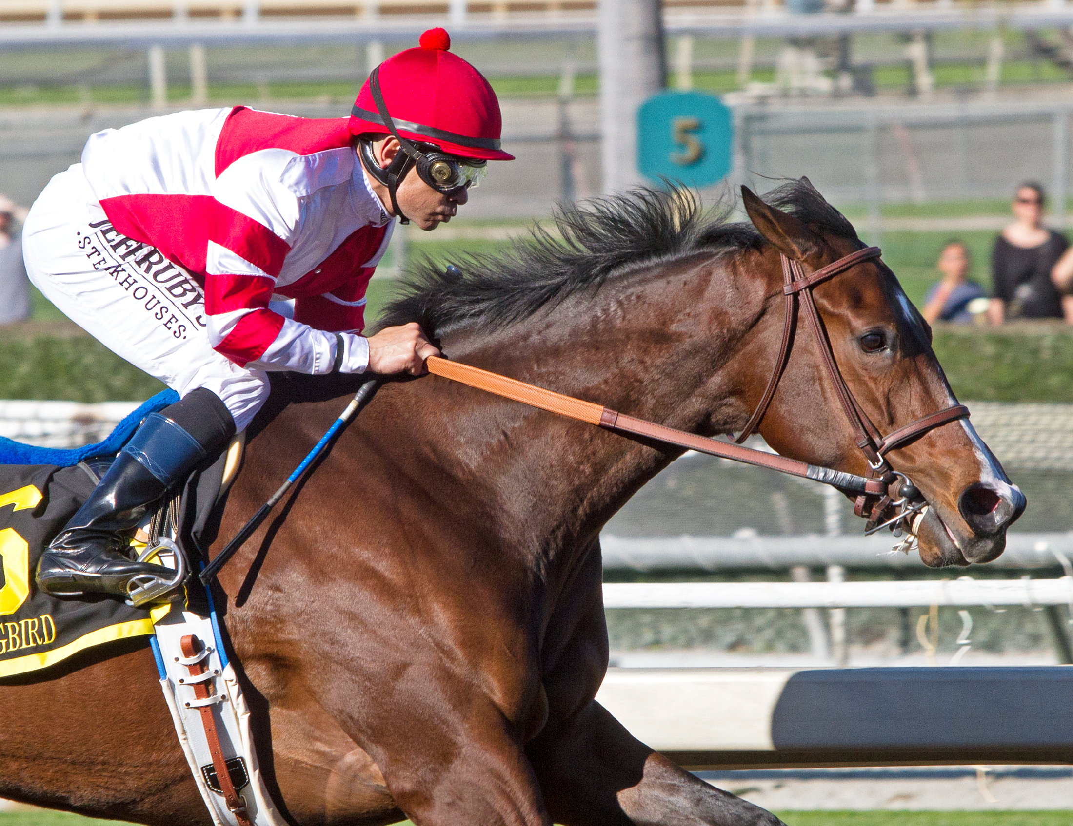 Songbird wins the Las Virgenes