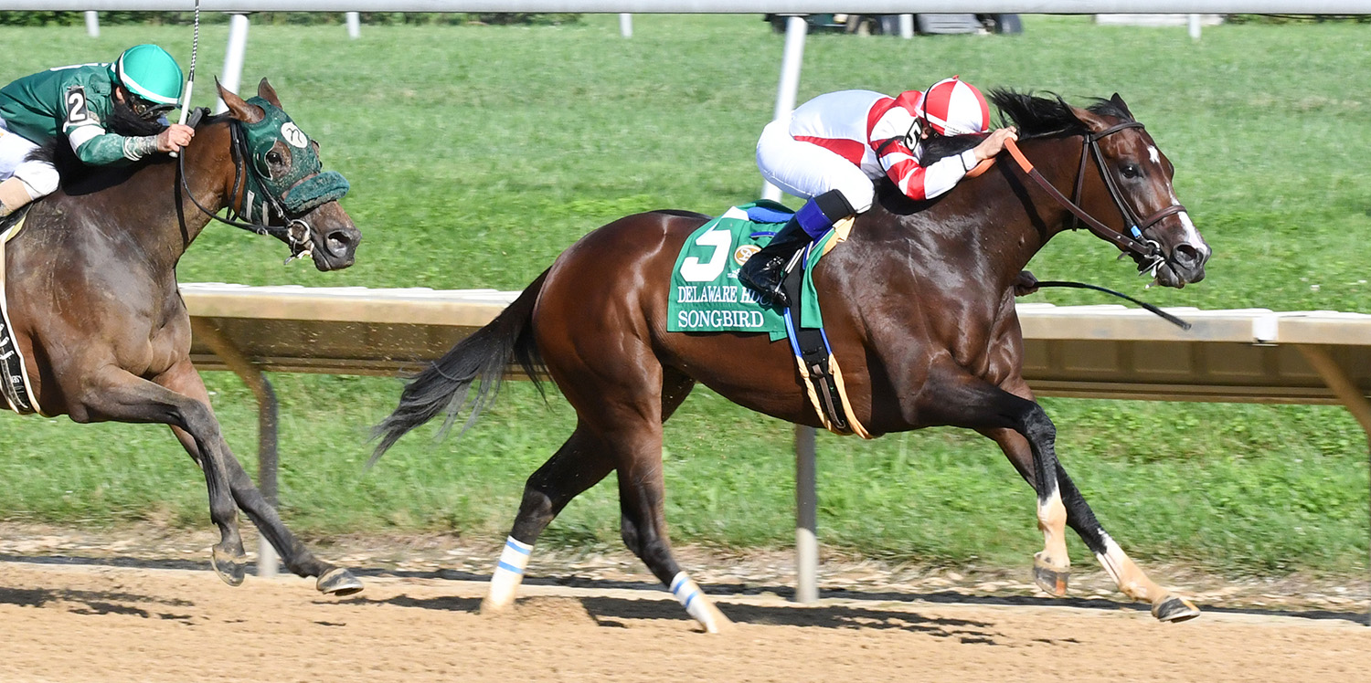 Songbird wins the 2017 Delaware Handicap