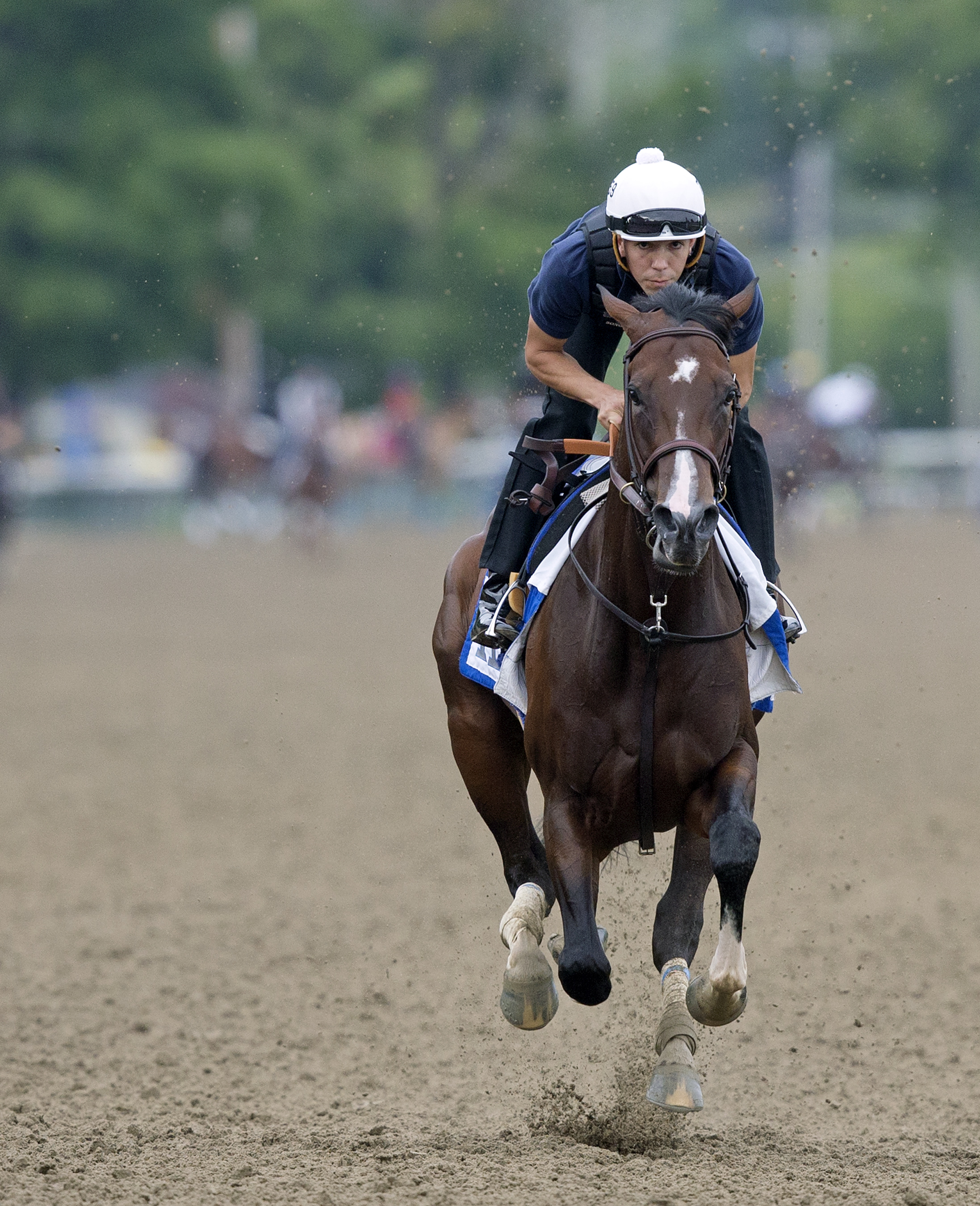 Songbird trains at Saratoga on August 15