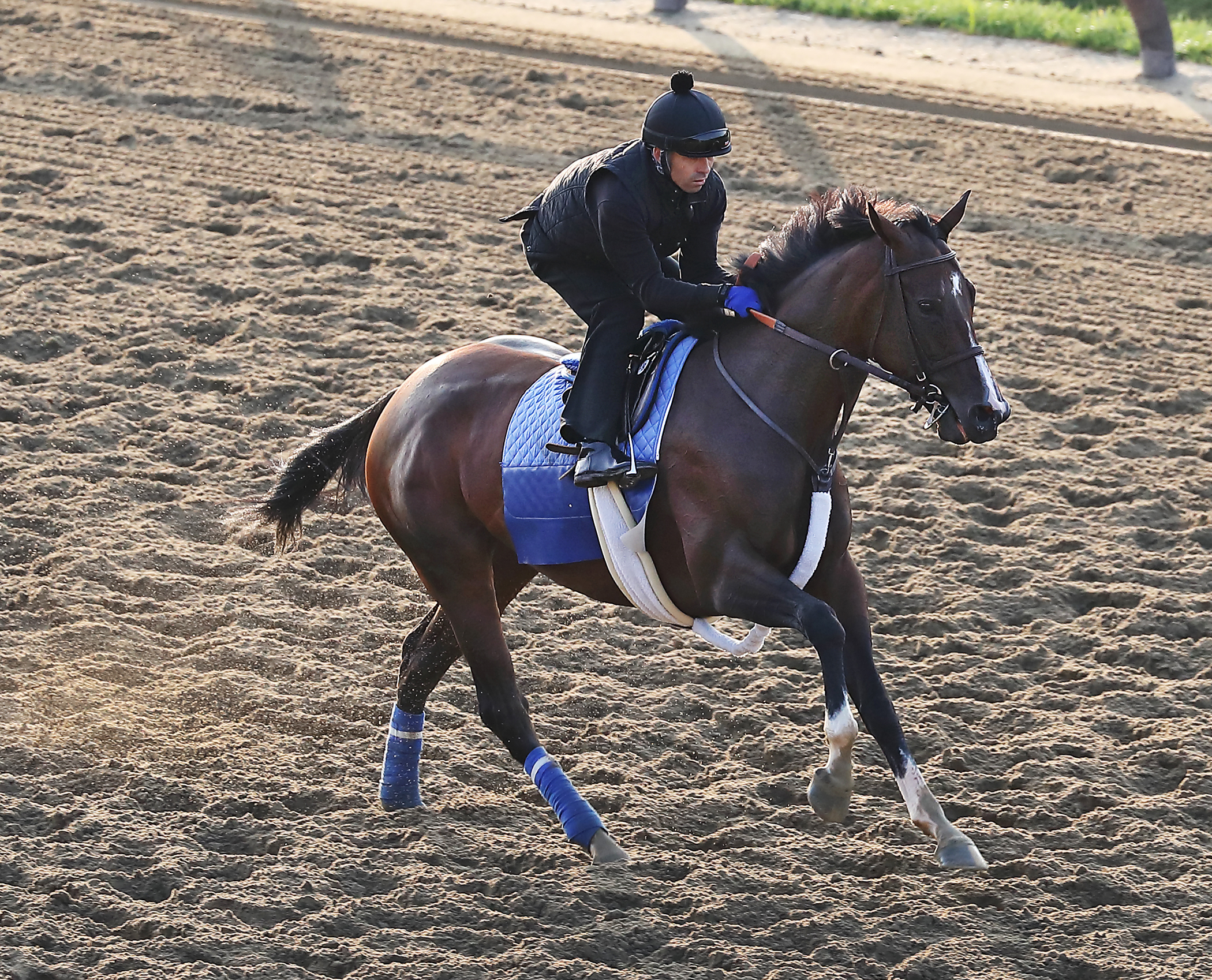 Songbird gallops at Saratoga Race Course on Aug. 24