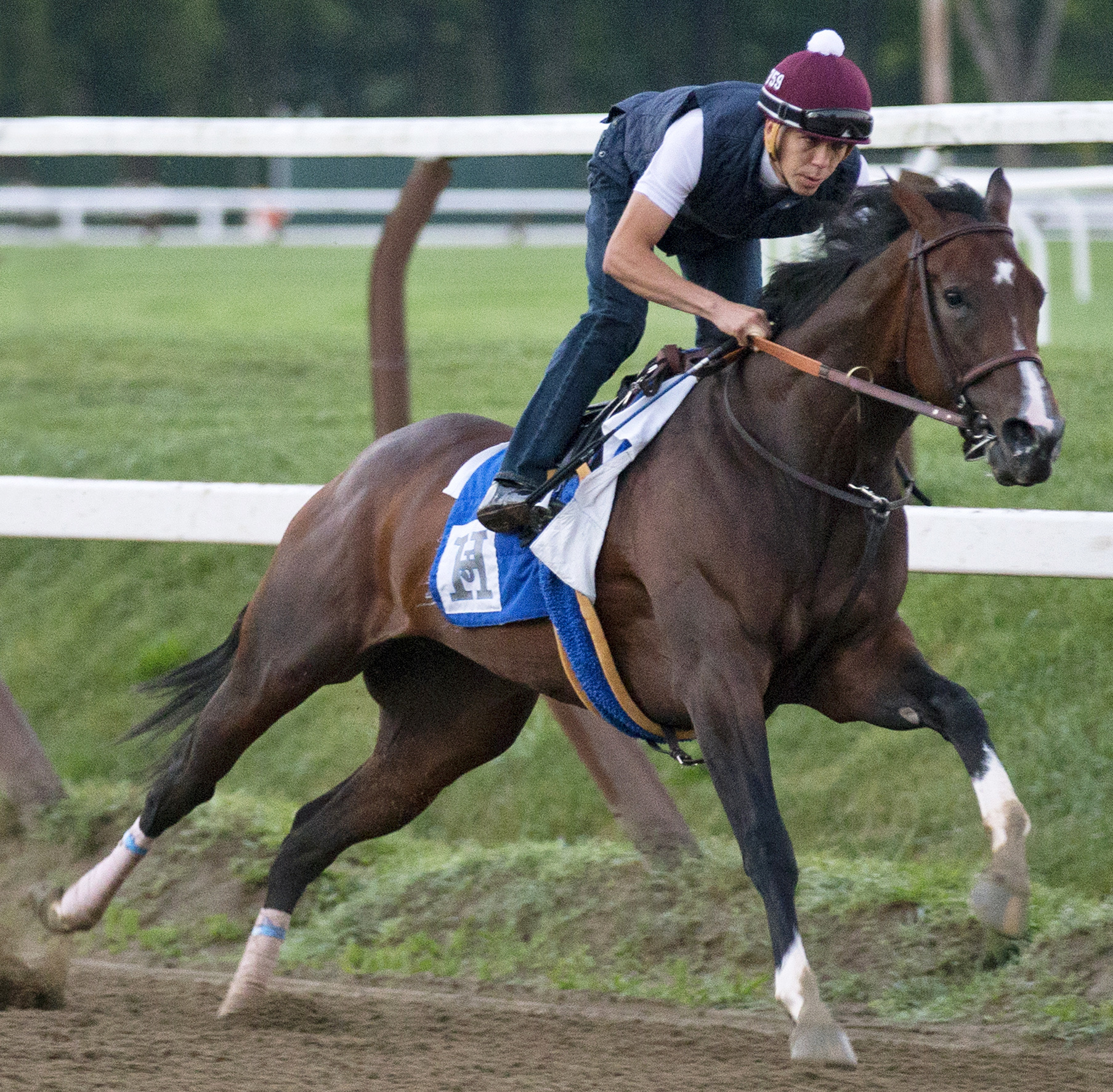 Songbird trains at Saratoga on August 4