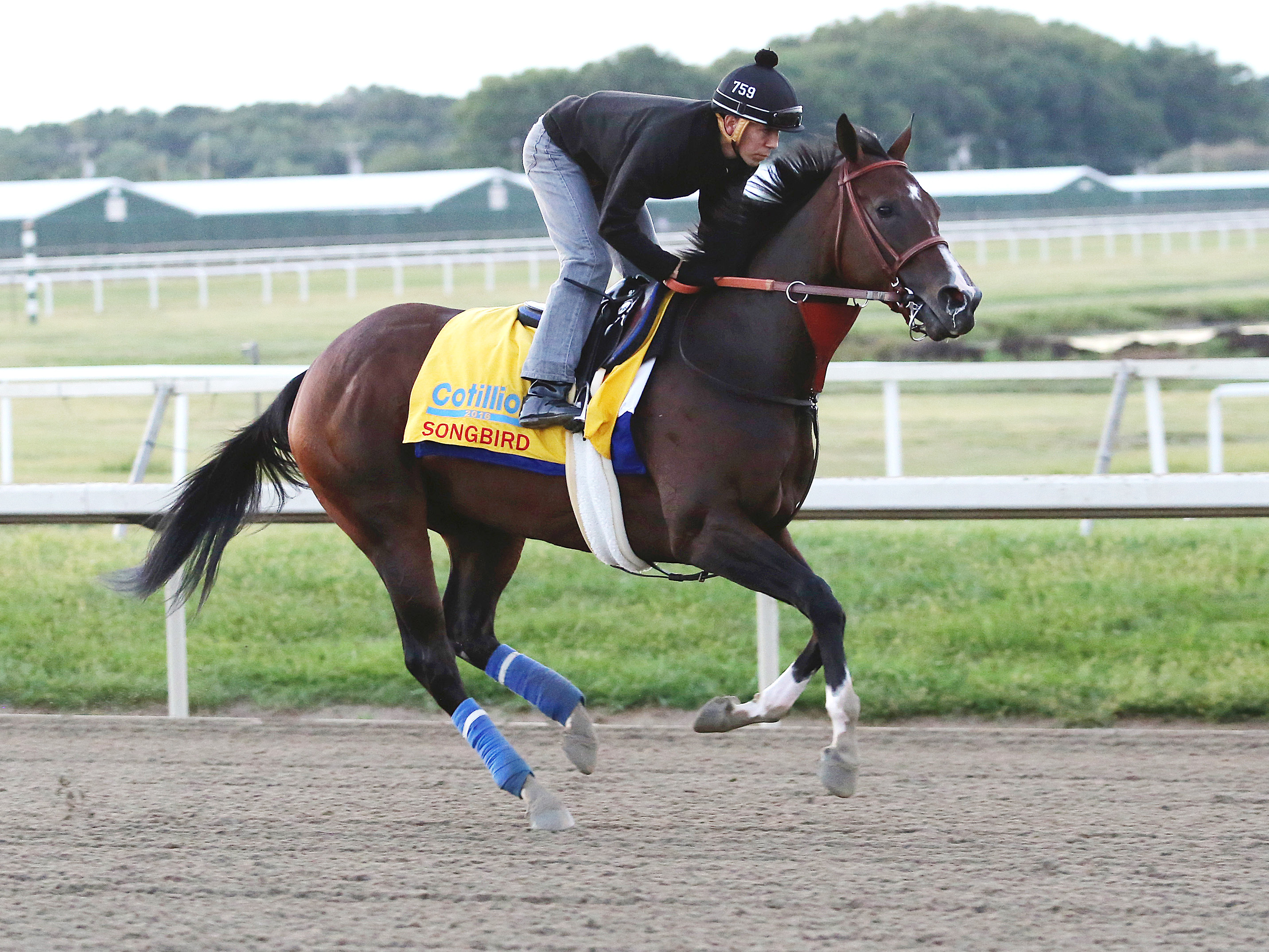 Songbird trains at Parx Racing on Sept. 22