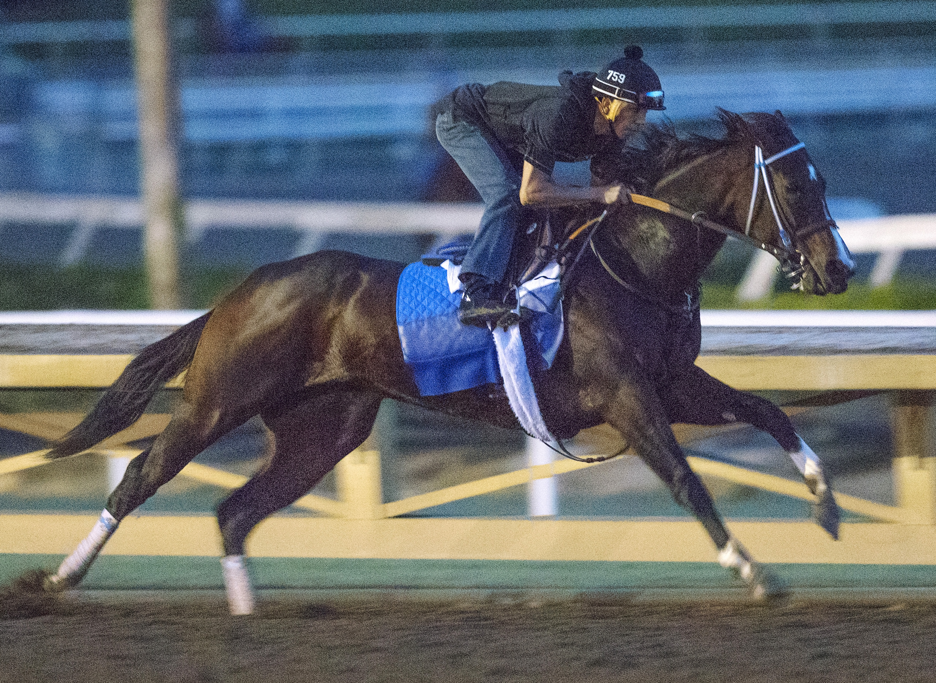 Songbird works at Santa Anita on Oct. 27
