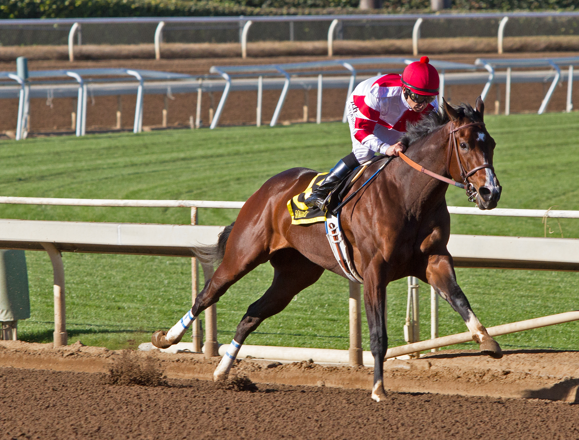 Songbird