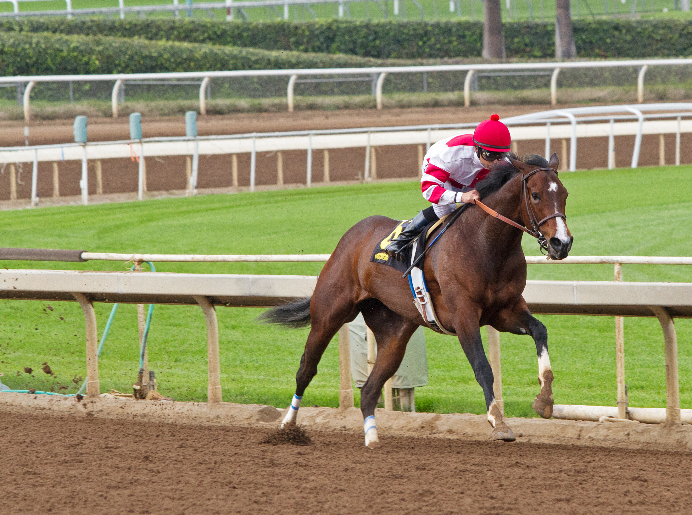 Songbird wins the Santa Ysabel