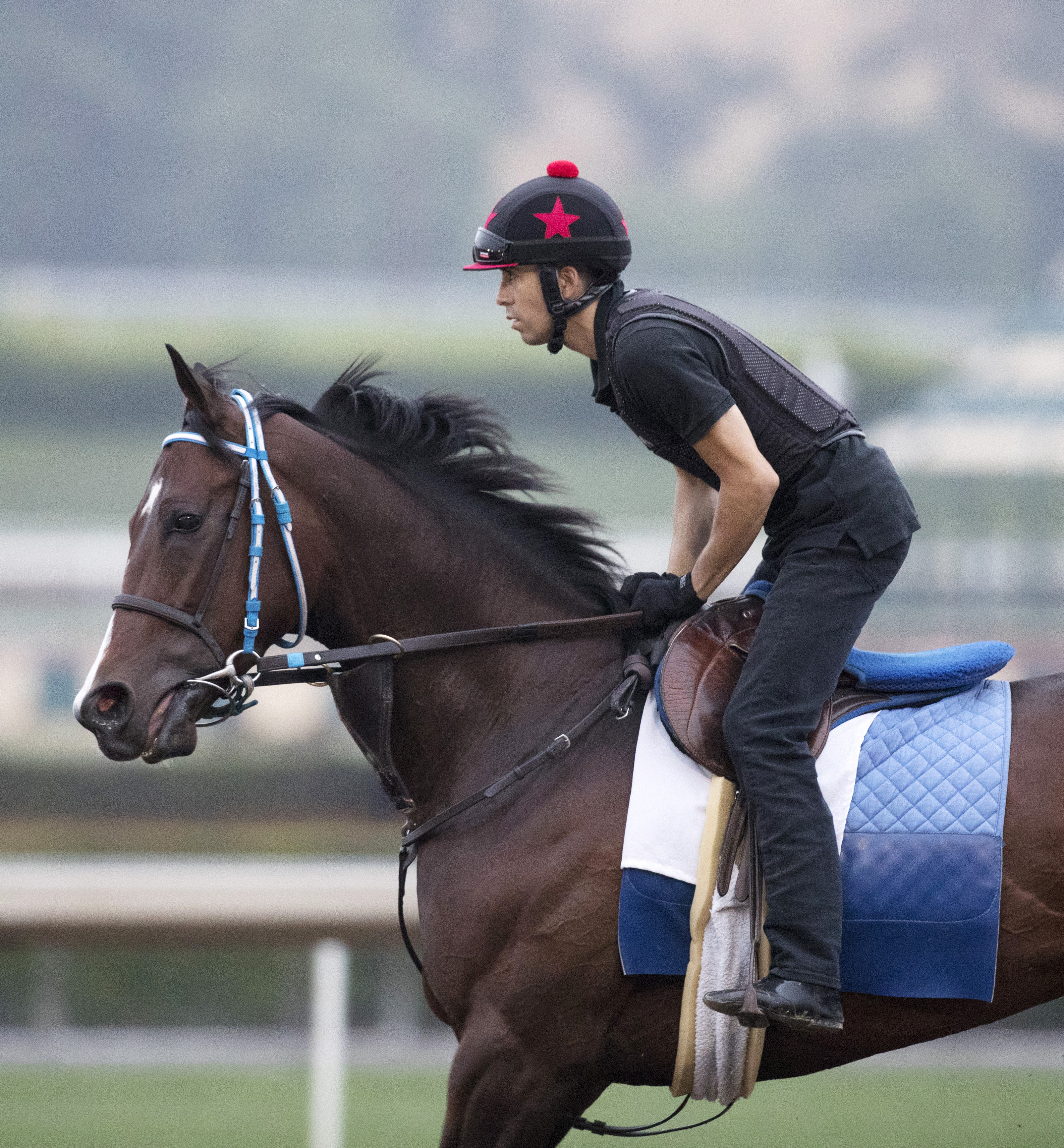 Songbird trains at Santa Anita on July 1