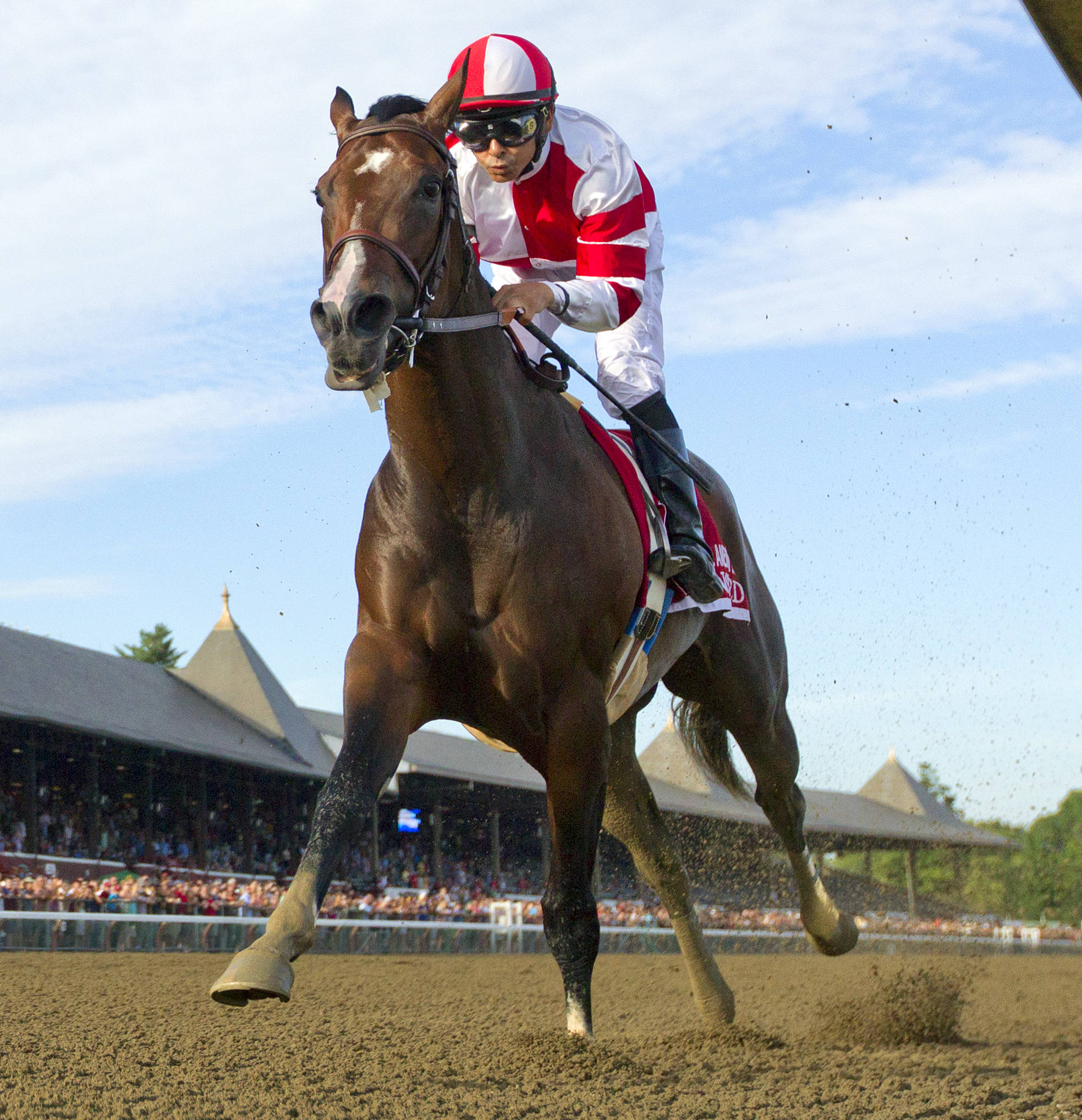 Songbird 7-24-2016