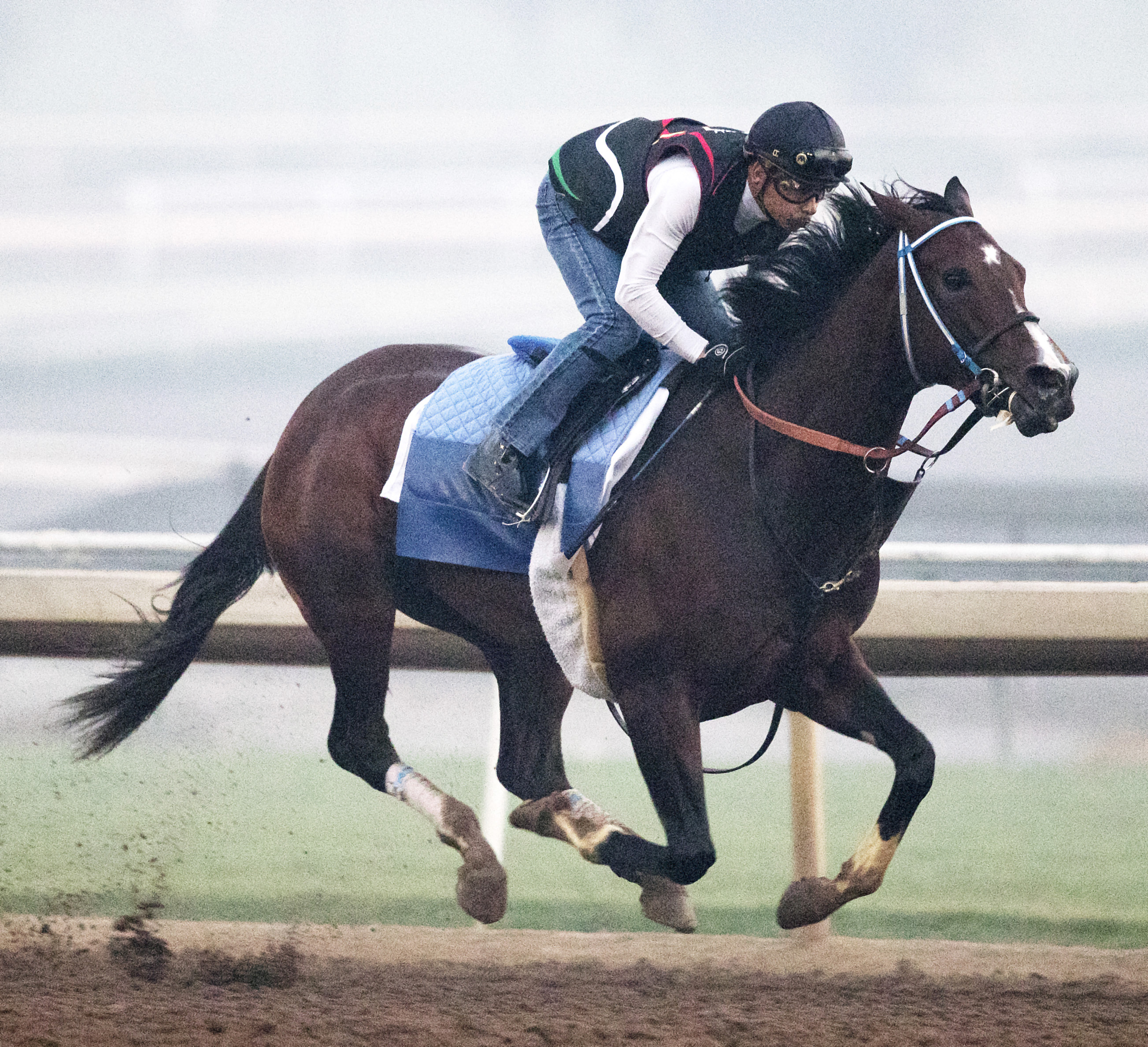 Songbird trains at Santa Anita on July 5