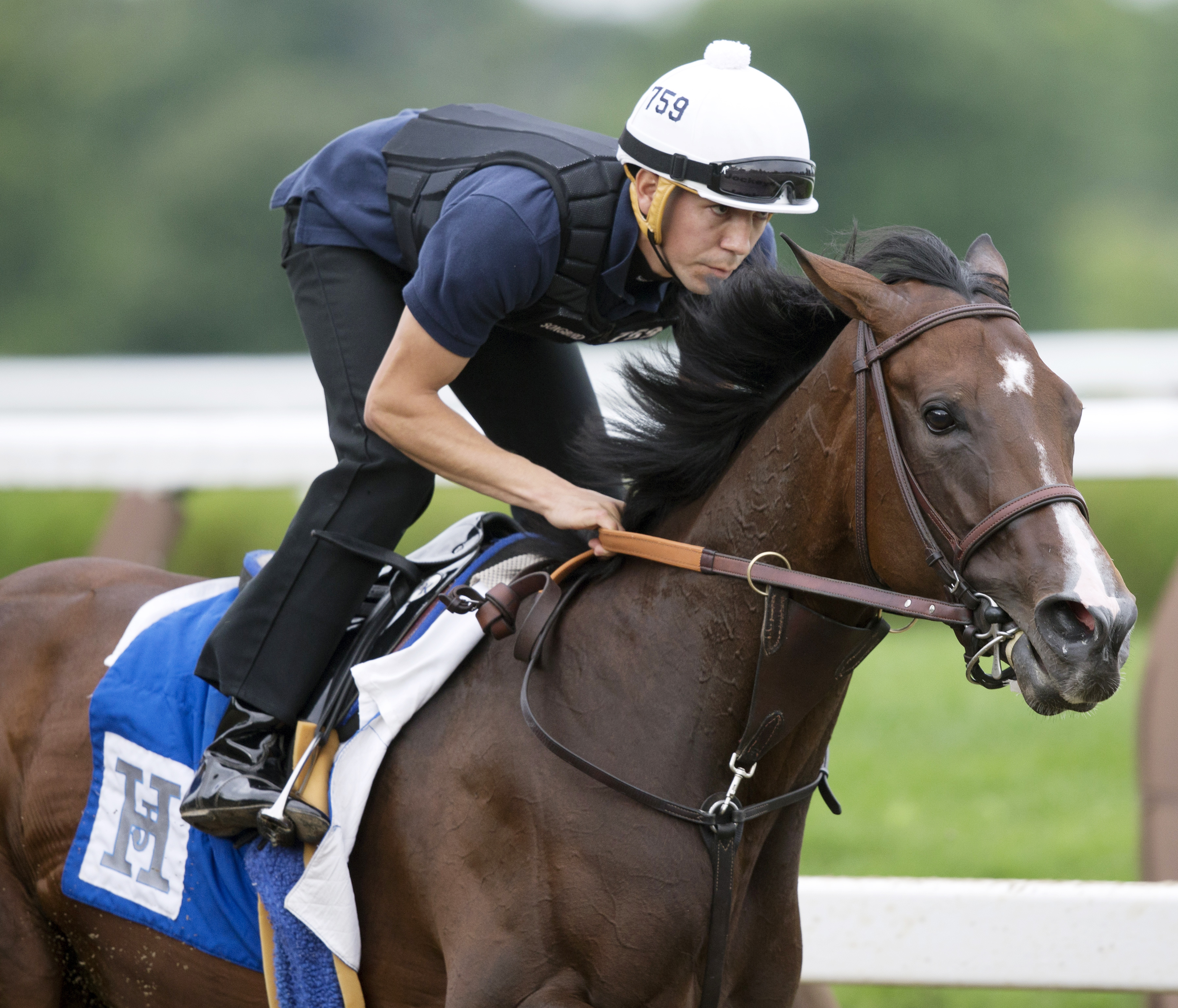 Songbird trains at Saratoga on August 15