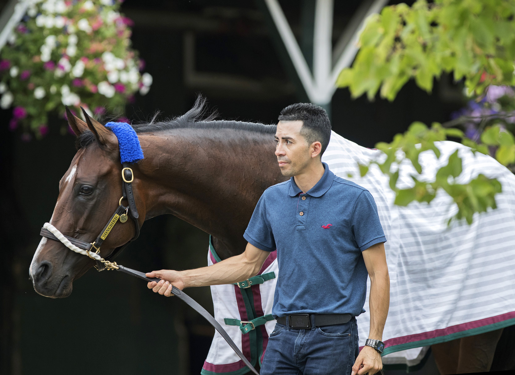 Songbird at Saratoga on Aug. 22, 2017
