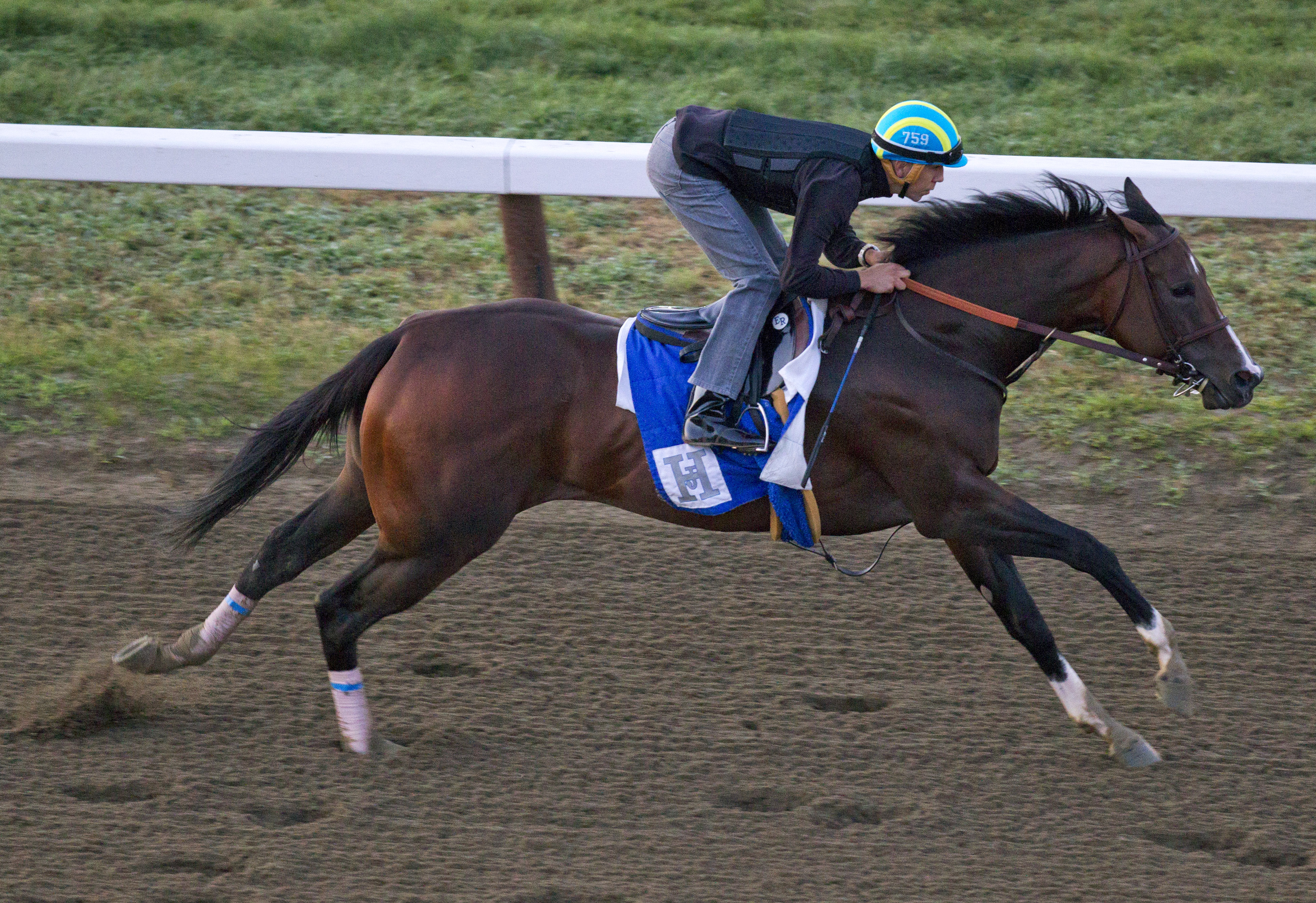 Songbird