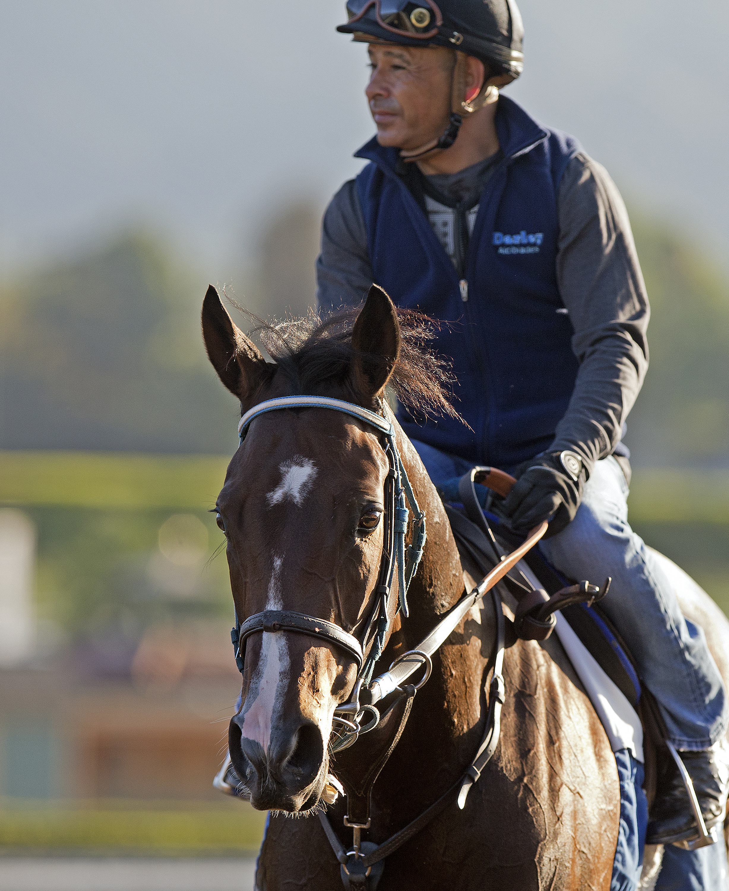 Songbird
