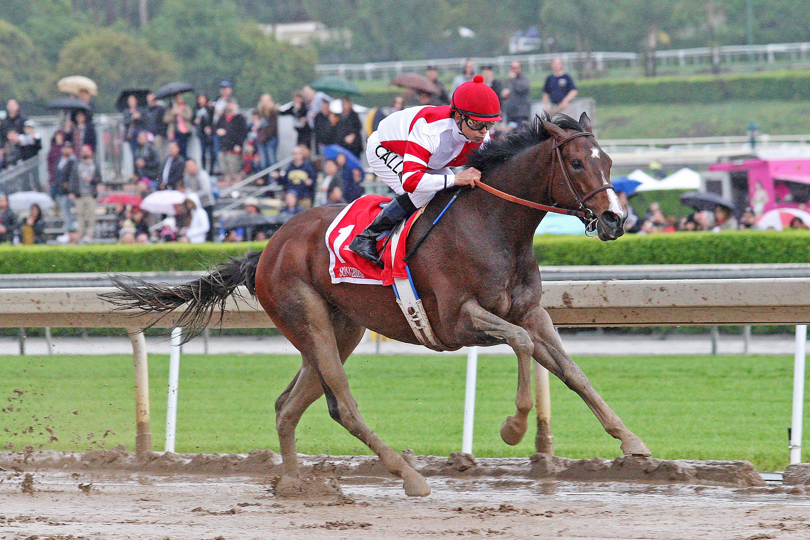 Songbird wins the Santa Anita Oaks