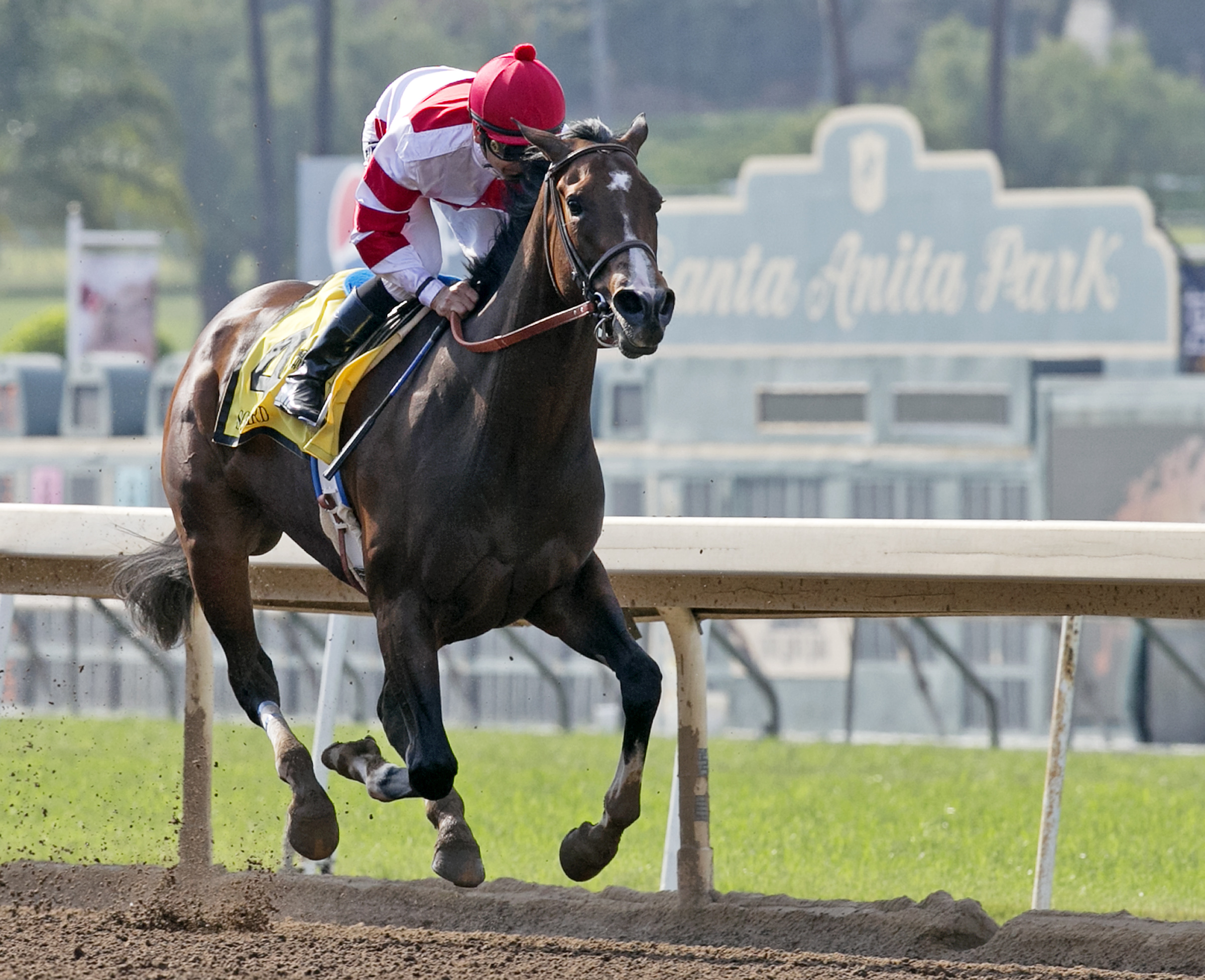 Songbird wins the Summertime Oaks