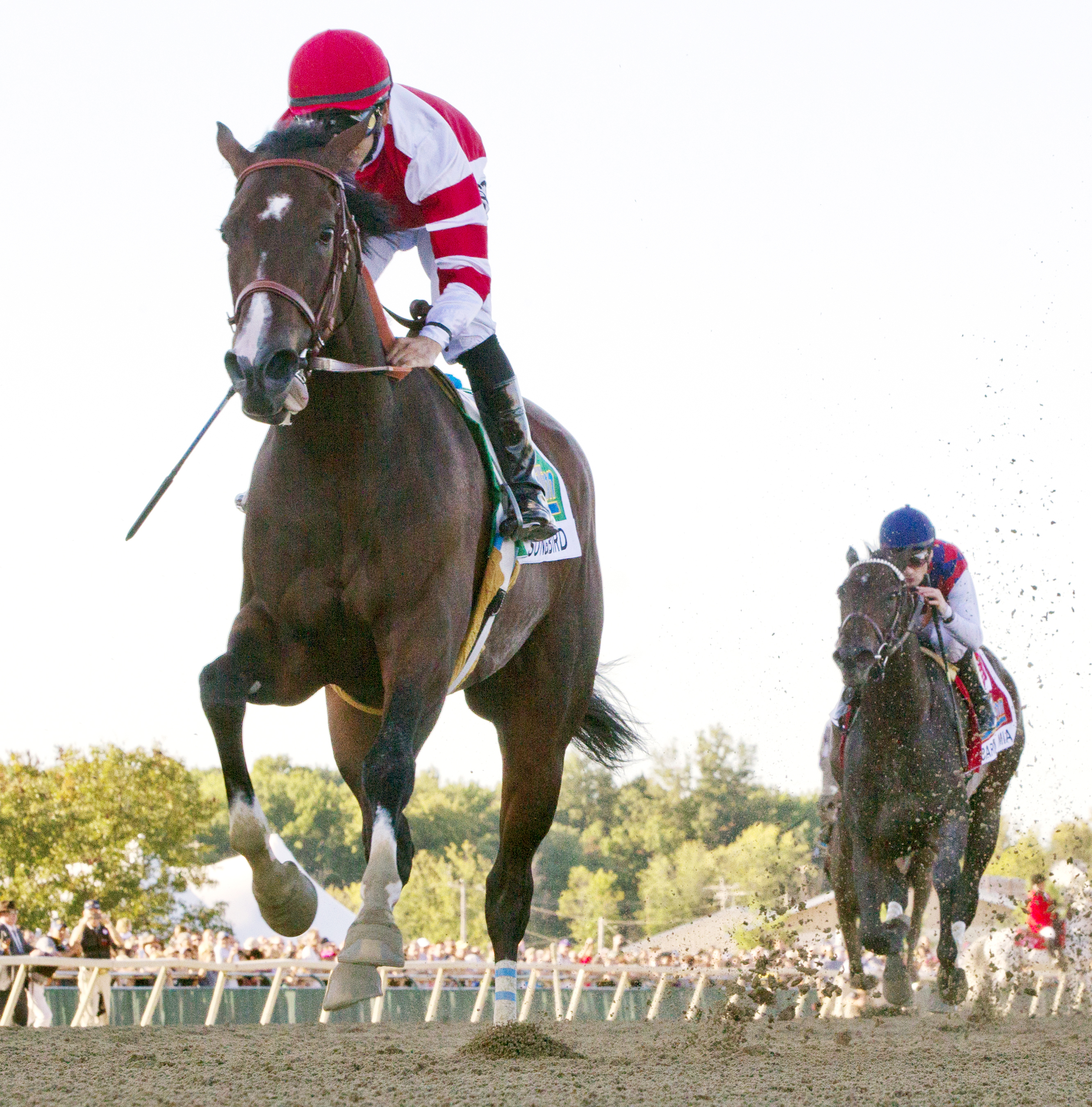 Songbird wins the Cotillion