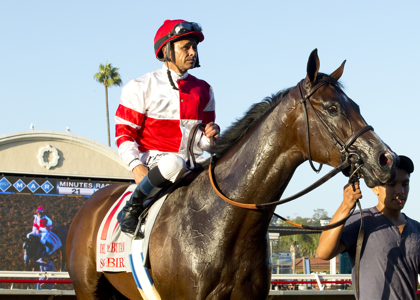 Songbird