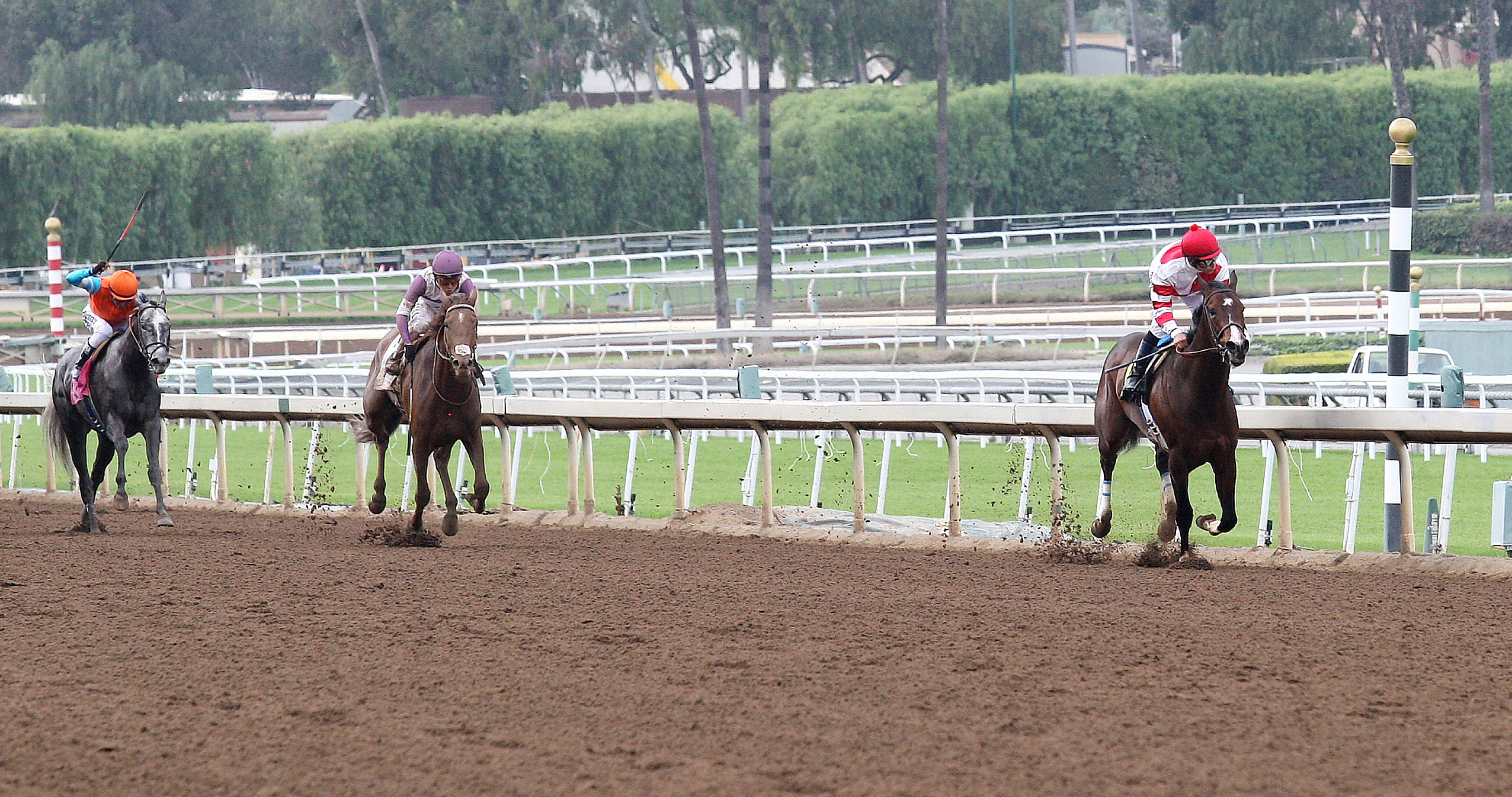 Songbird wins the Santa Ysabel