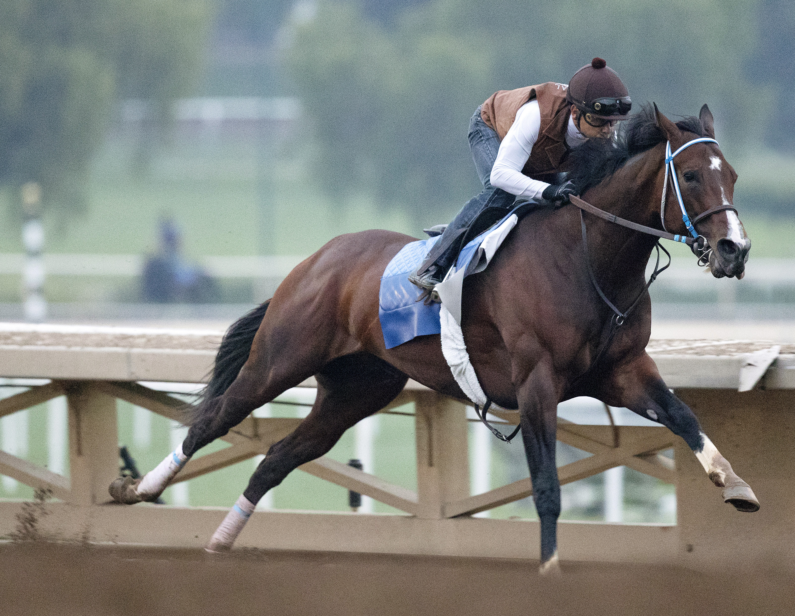 Songbird trains at Santa Anita on June 29