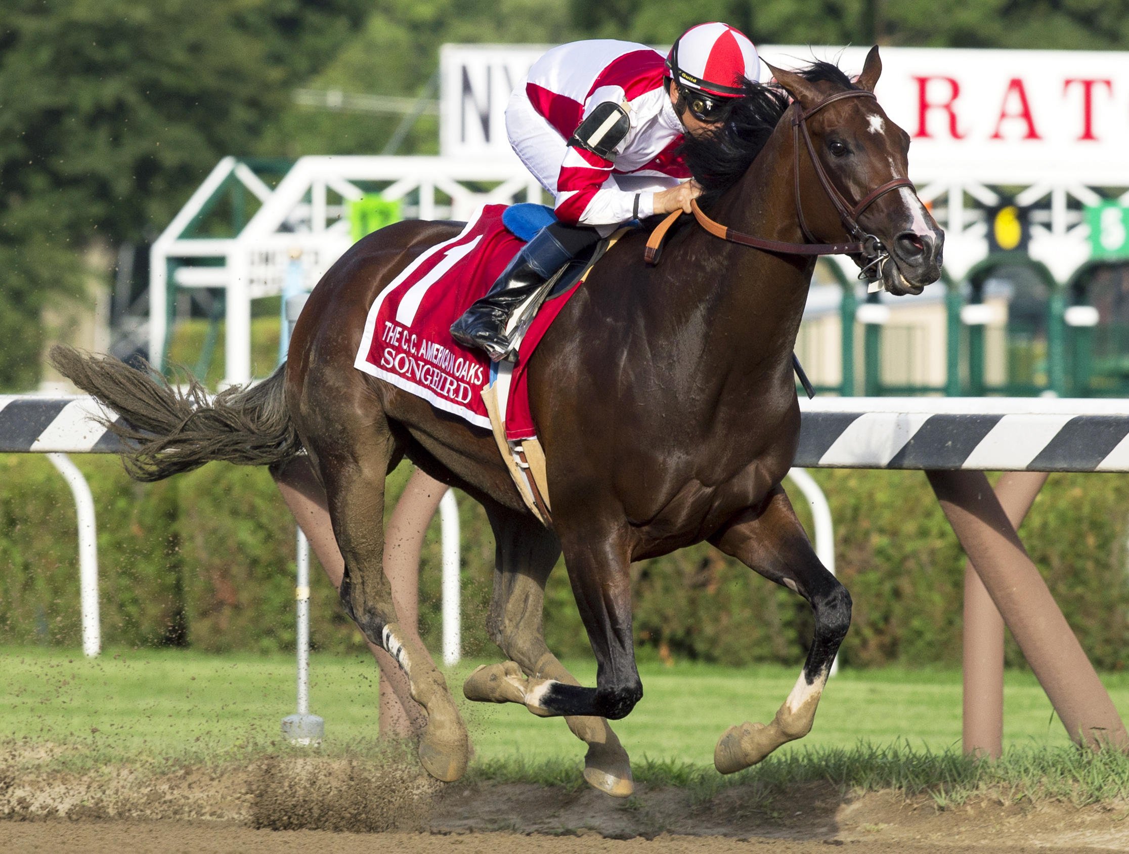 Songbird wins the Coaching Club of America Oaks