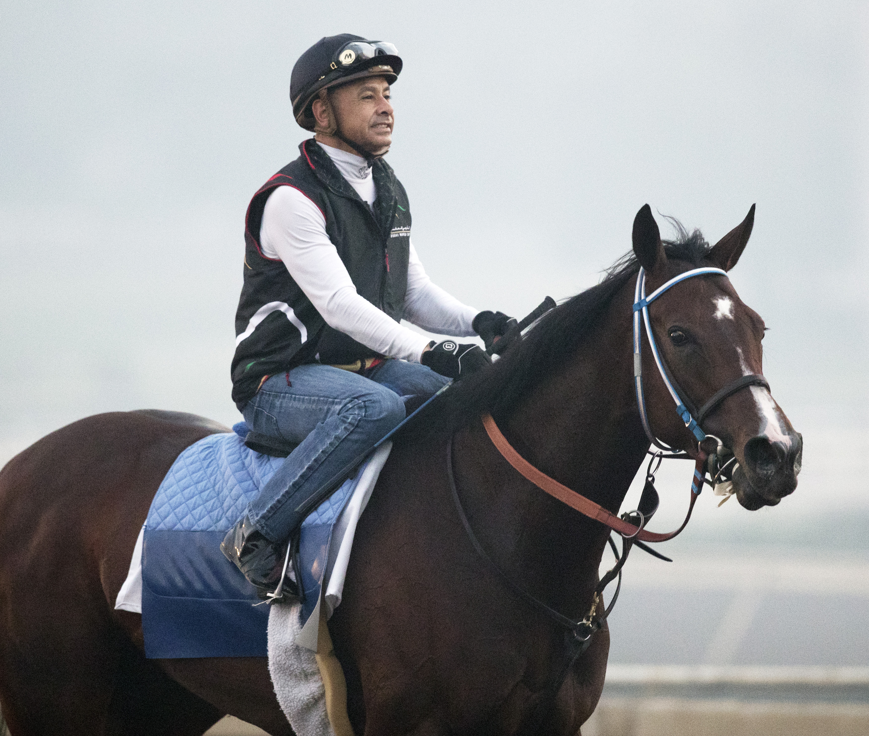 Songbird trains at Santa Anita on July 5