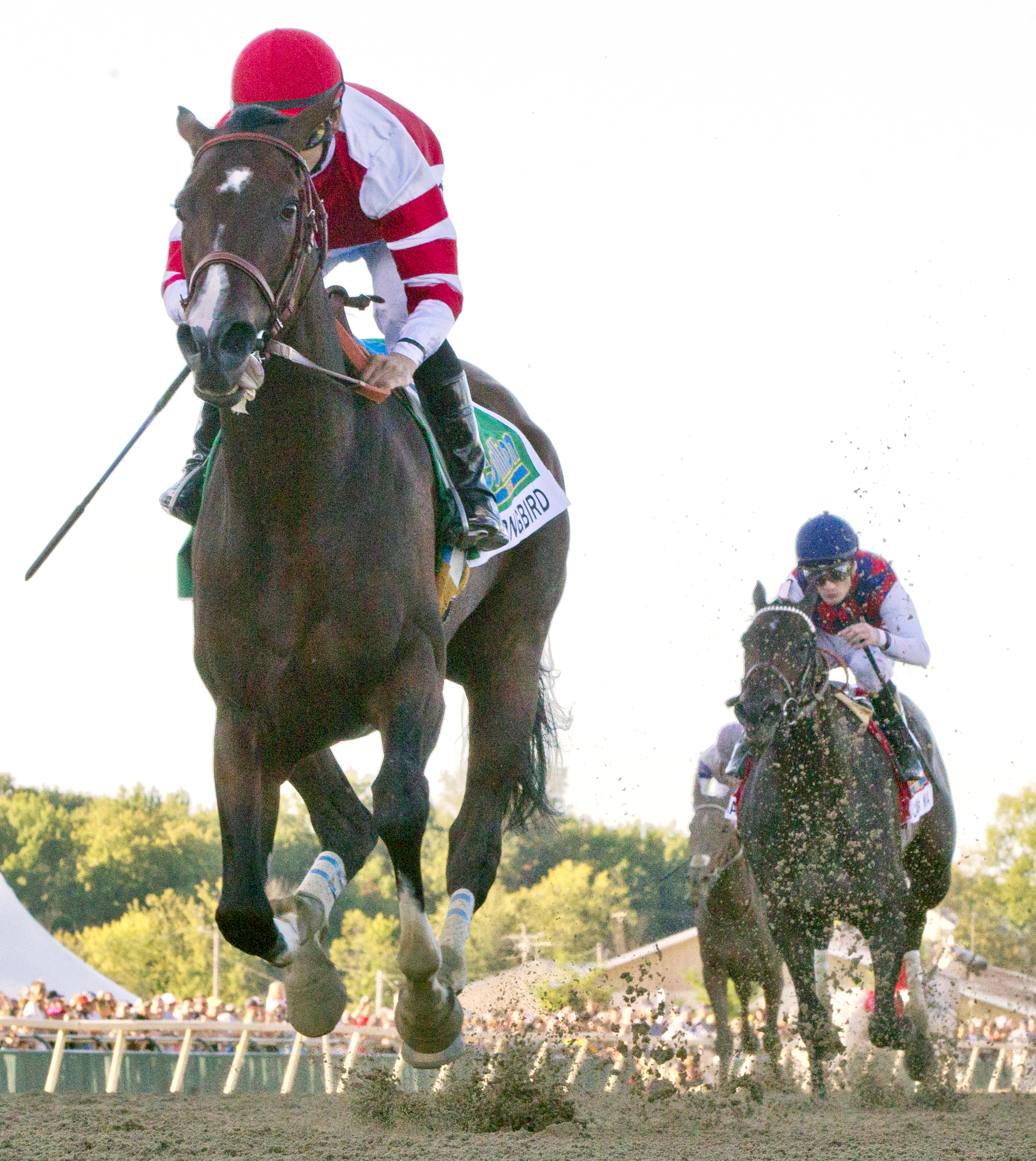 Songbird 9-24-2016