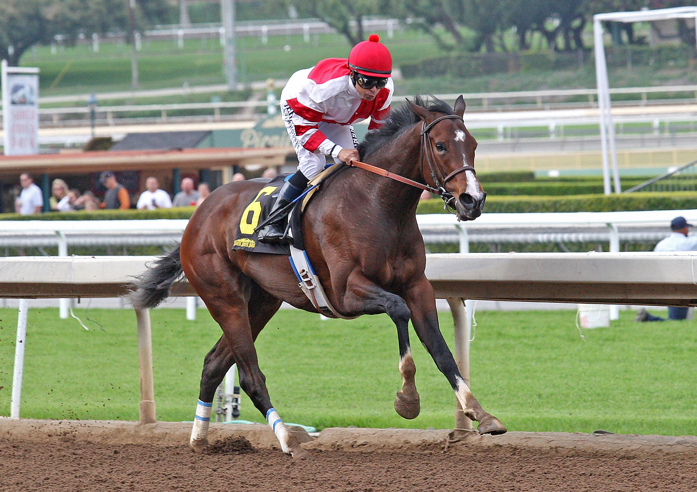 Songbird wins the Santa Ysabel