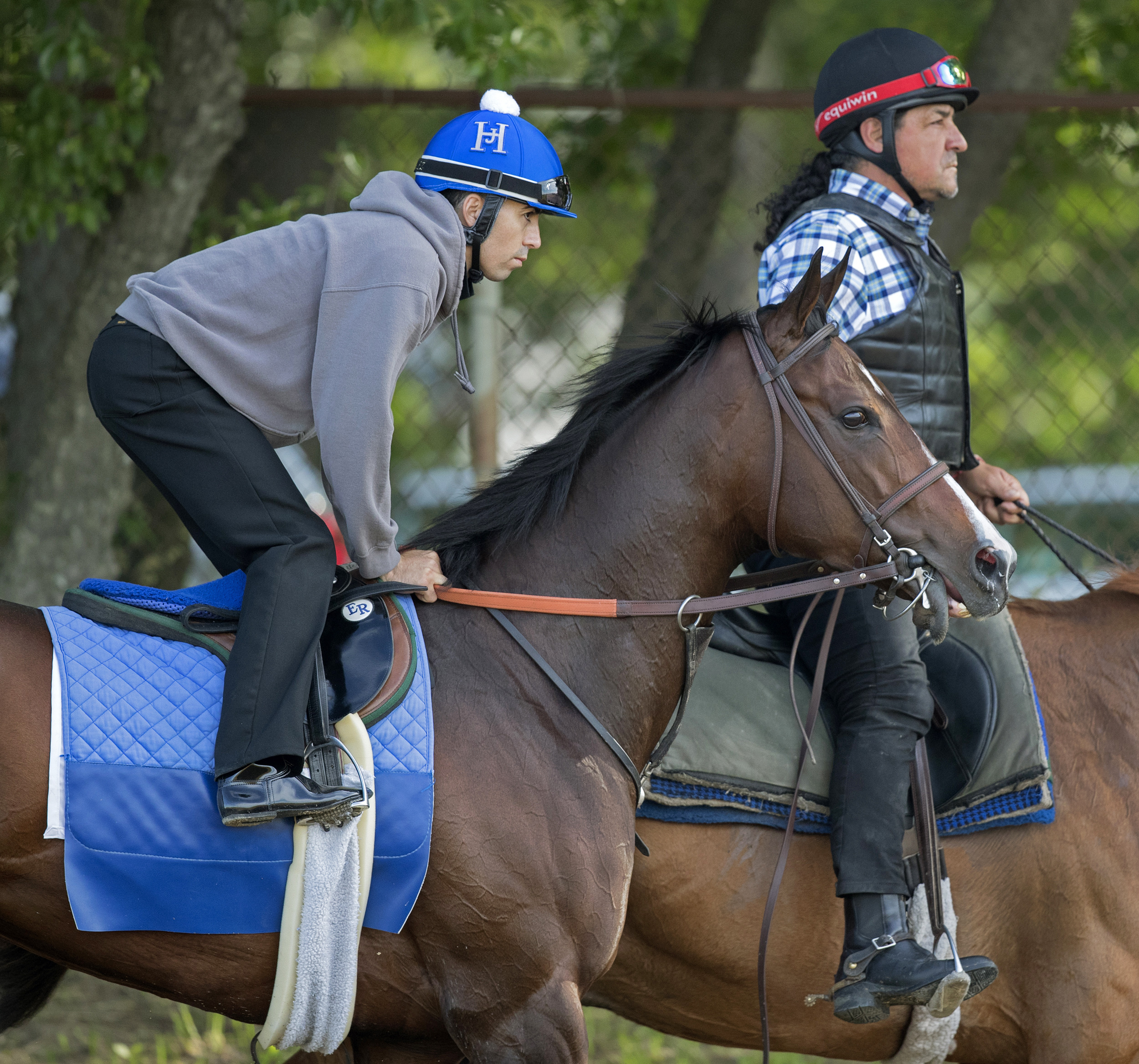 Songbird at Belmont Park on June 8