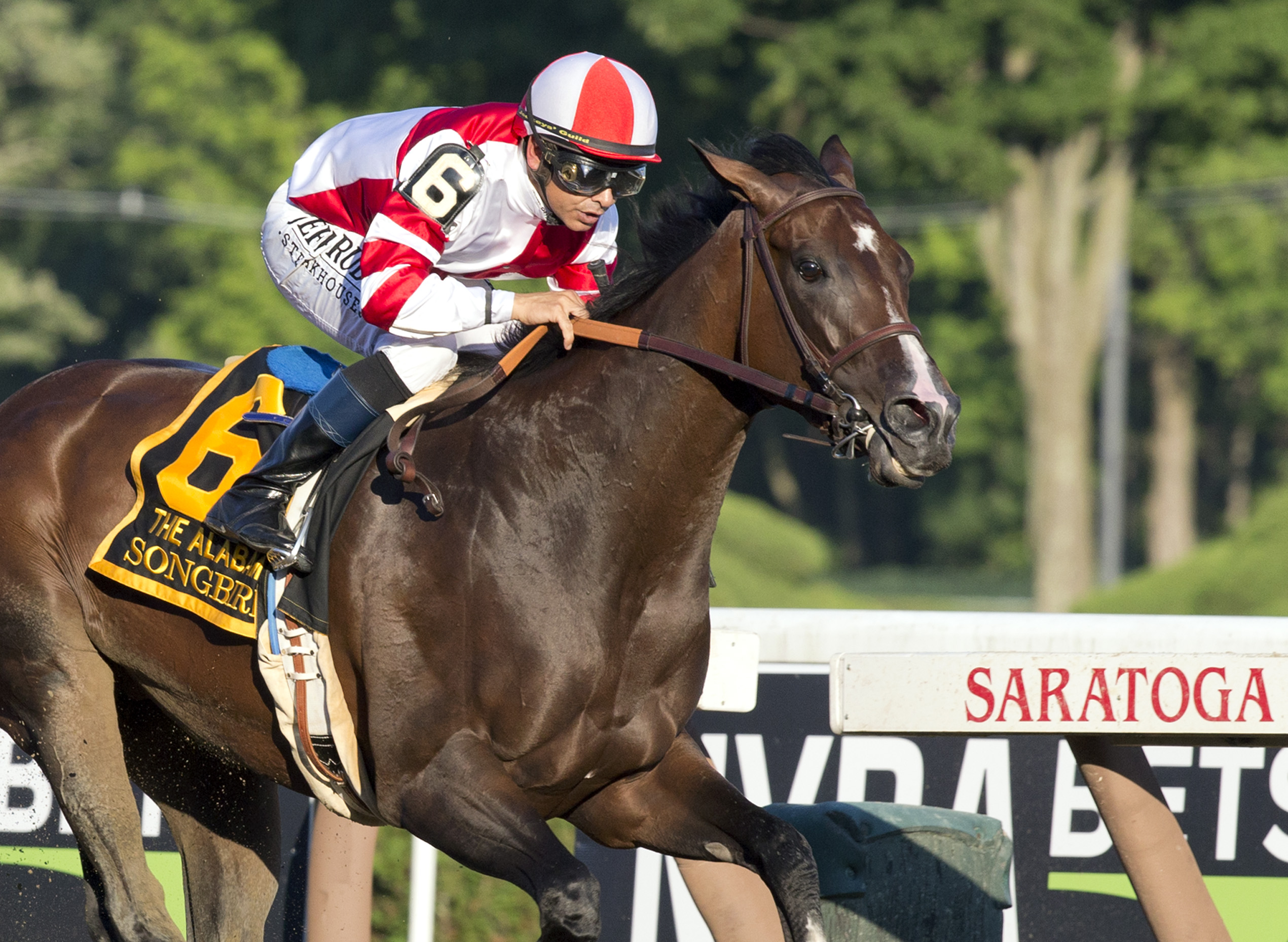 Songbird 8-21-2016