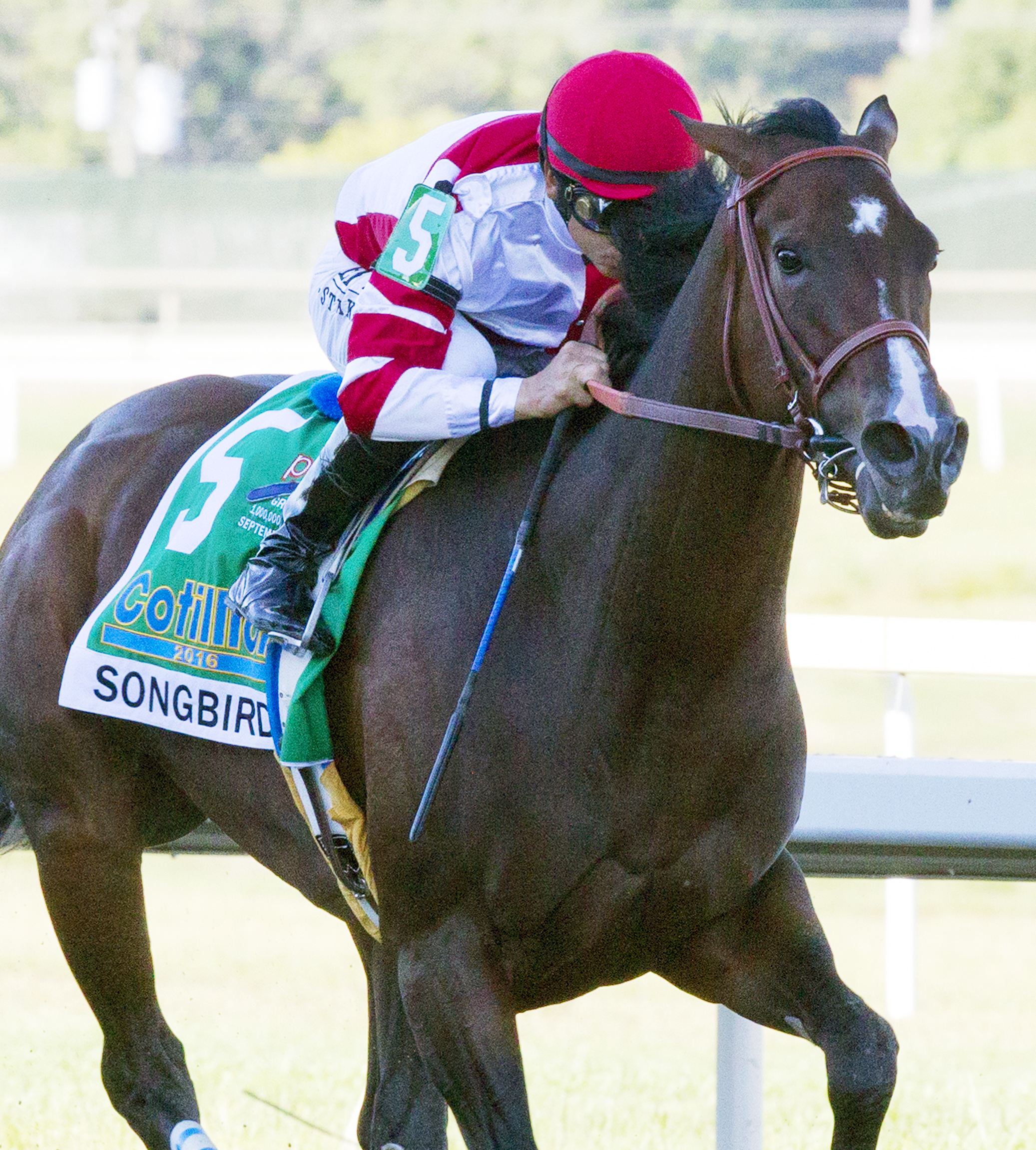 Songbird