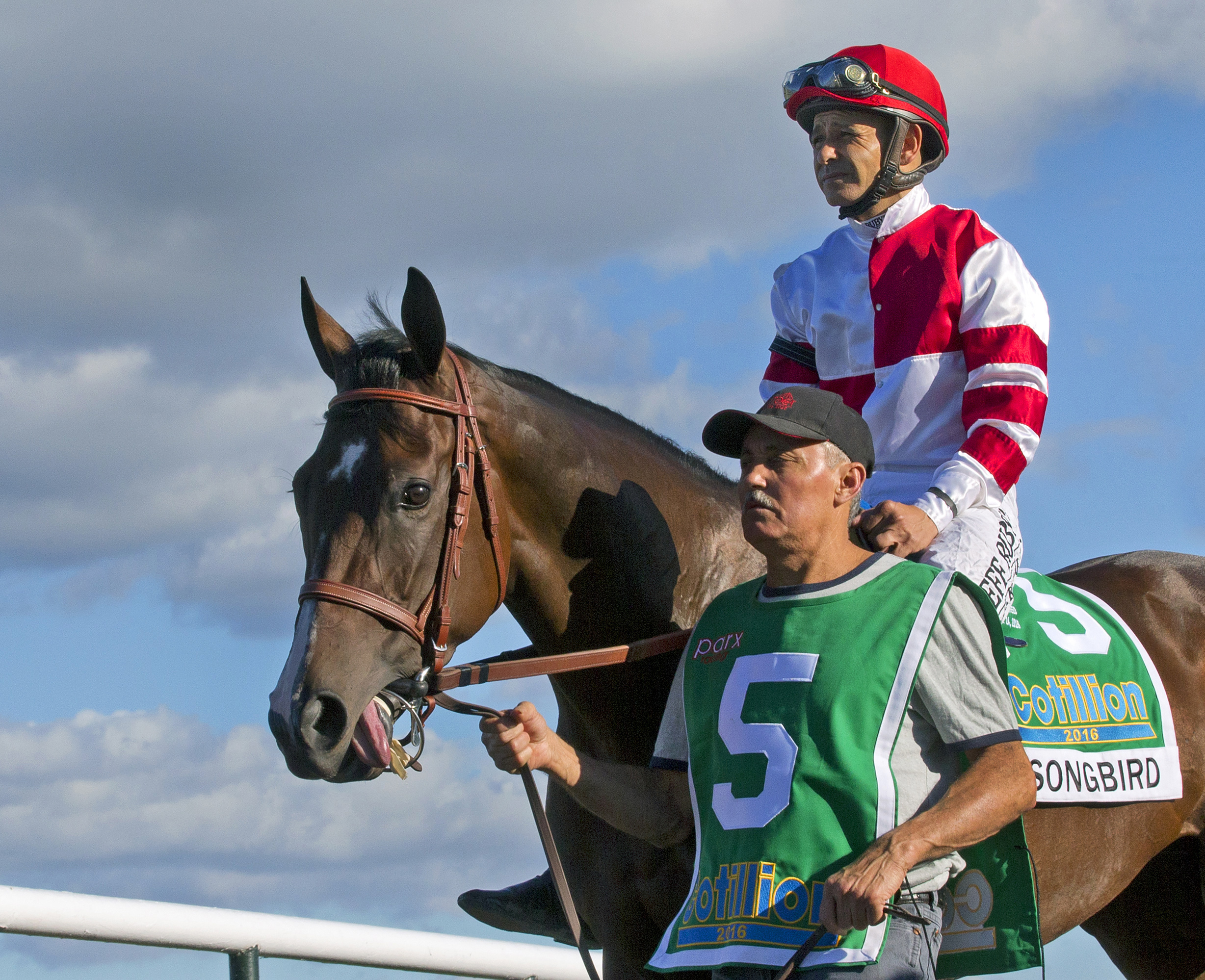 Songbird after winning the Cotillion
