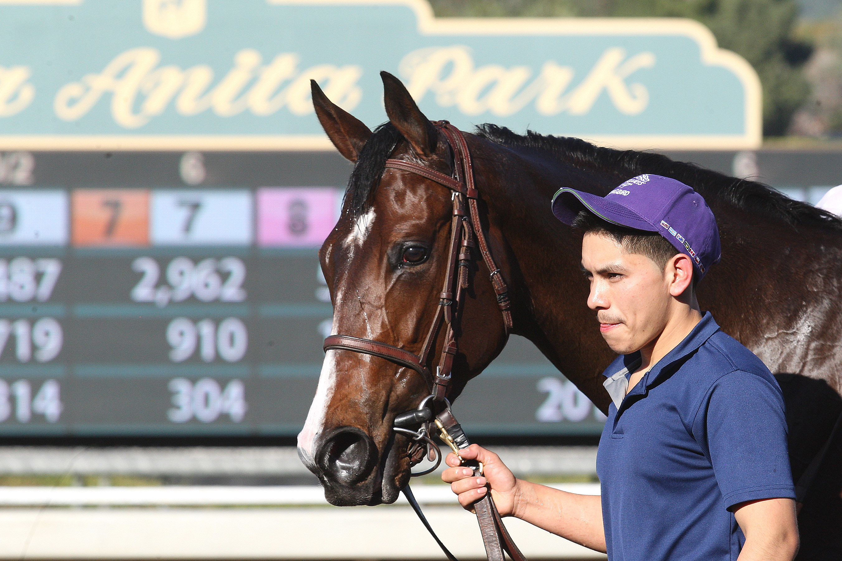 Songbird