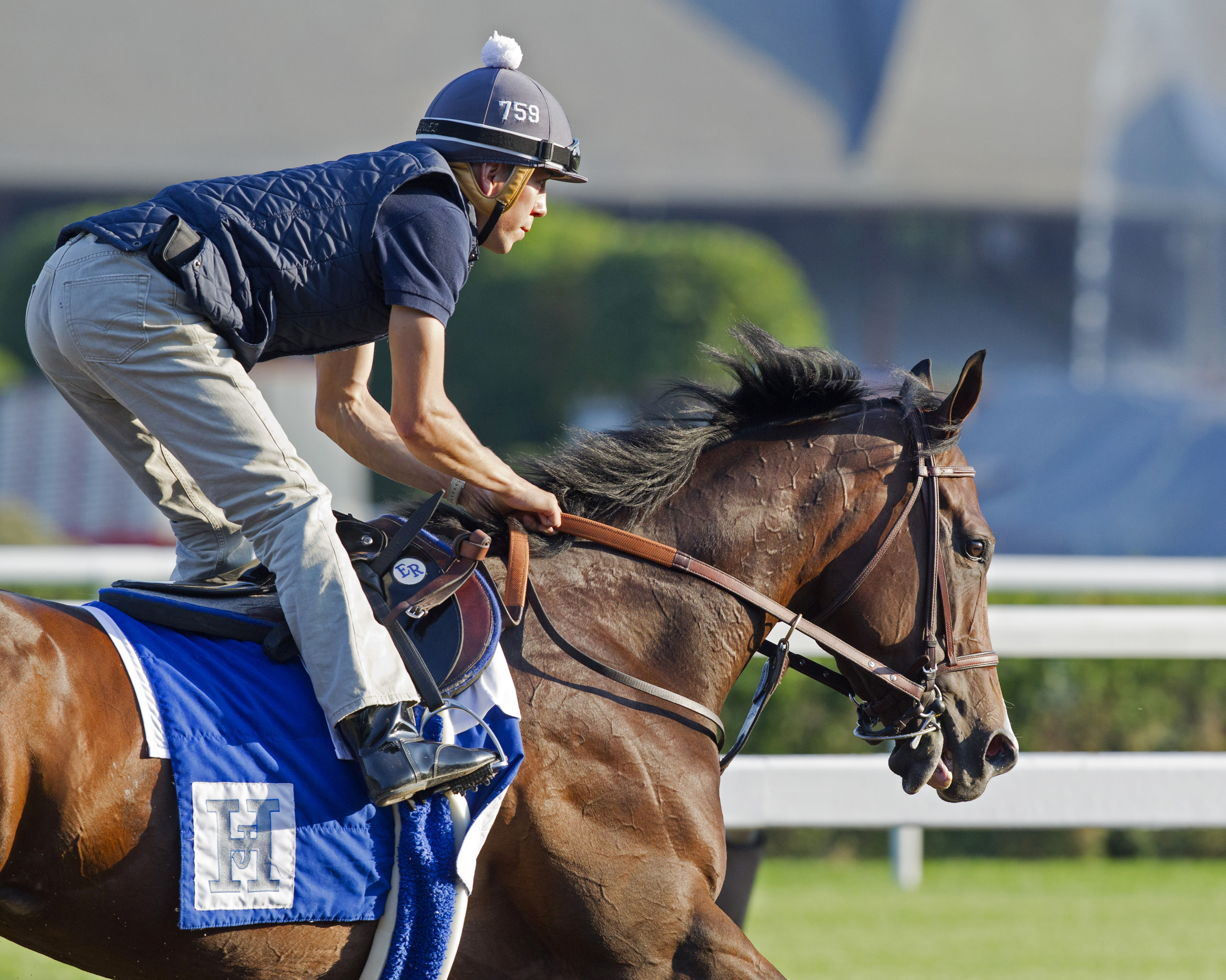 Songbird trains at Saratoga on July 22