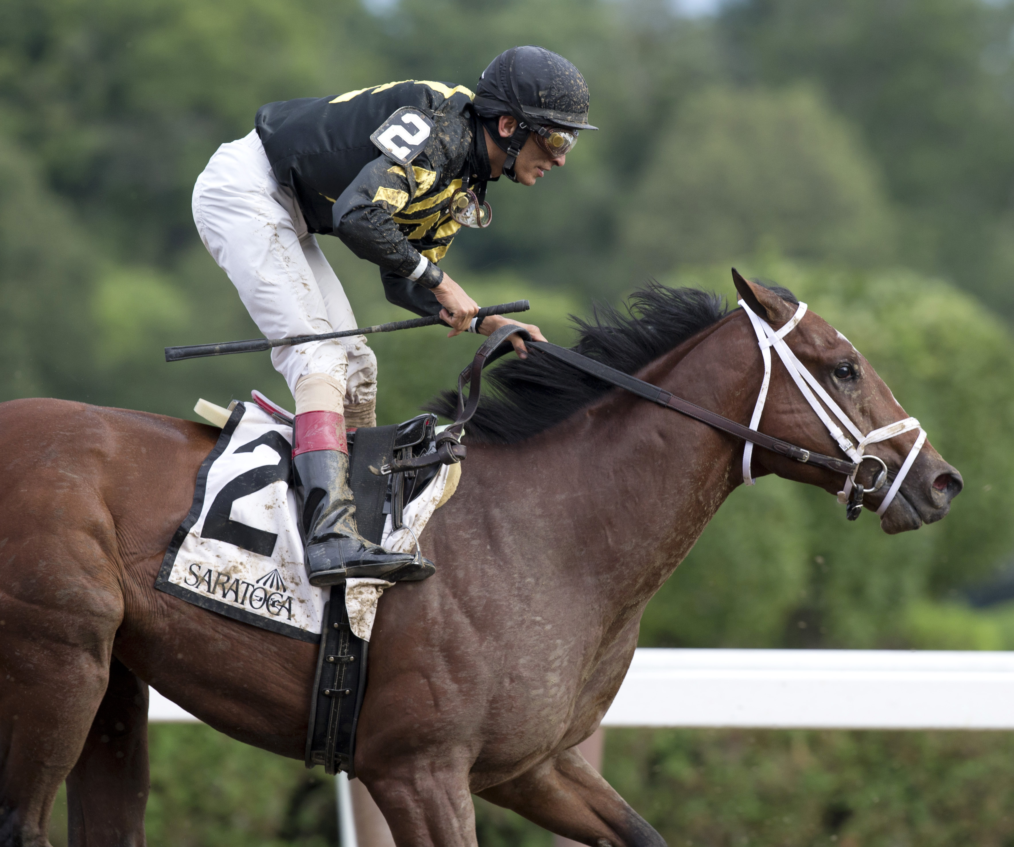 Sonic Mule finishes third in the Saratoga Special