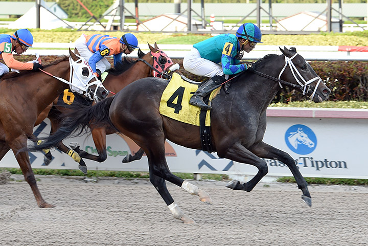 Sonneman wins an April 4 allowance race at Gulfstream Park