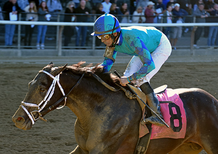 Sonneman wins an October 2019 maiden race at Belmont Park