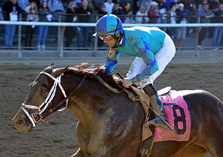 Sonneman wins an October 2019 maiden race at Belmont Park