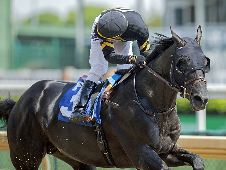 Sonneteer wins the 2019 Marathon