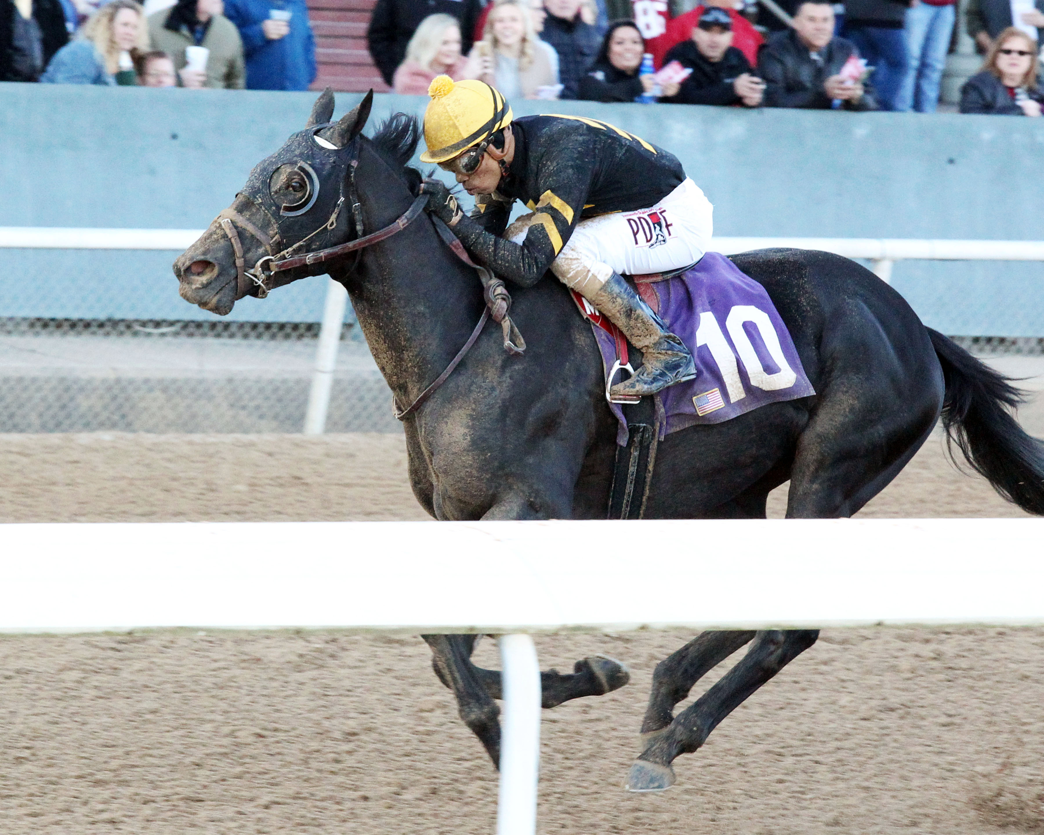 Sonneteer wins the Fifth Season Stakes