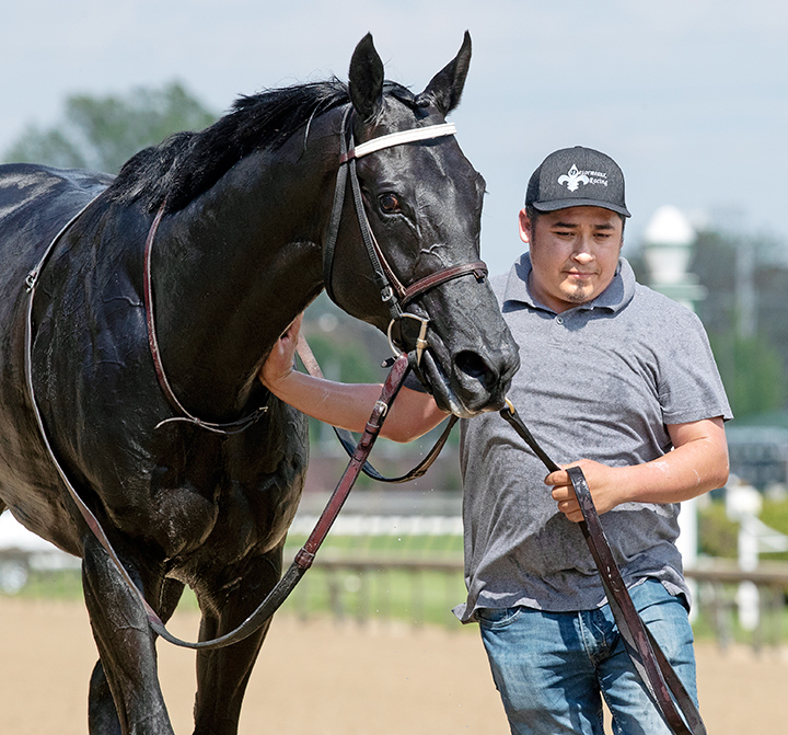 Sonneteer after the 2019 Marathon Stakes at Churchill Downs