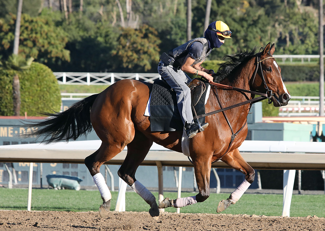 Soothsay trains at Santa Anita on Jan. 16
