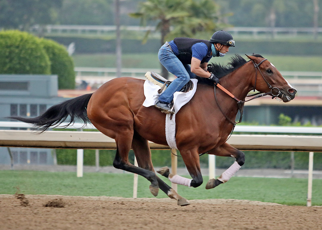 Soothsay trains at Santa Anita Park on May 28