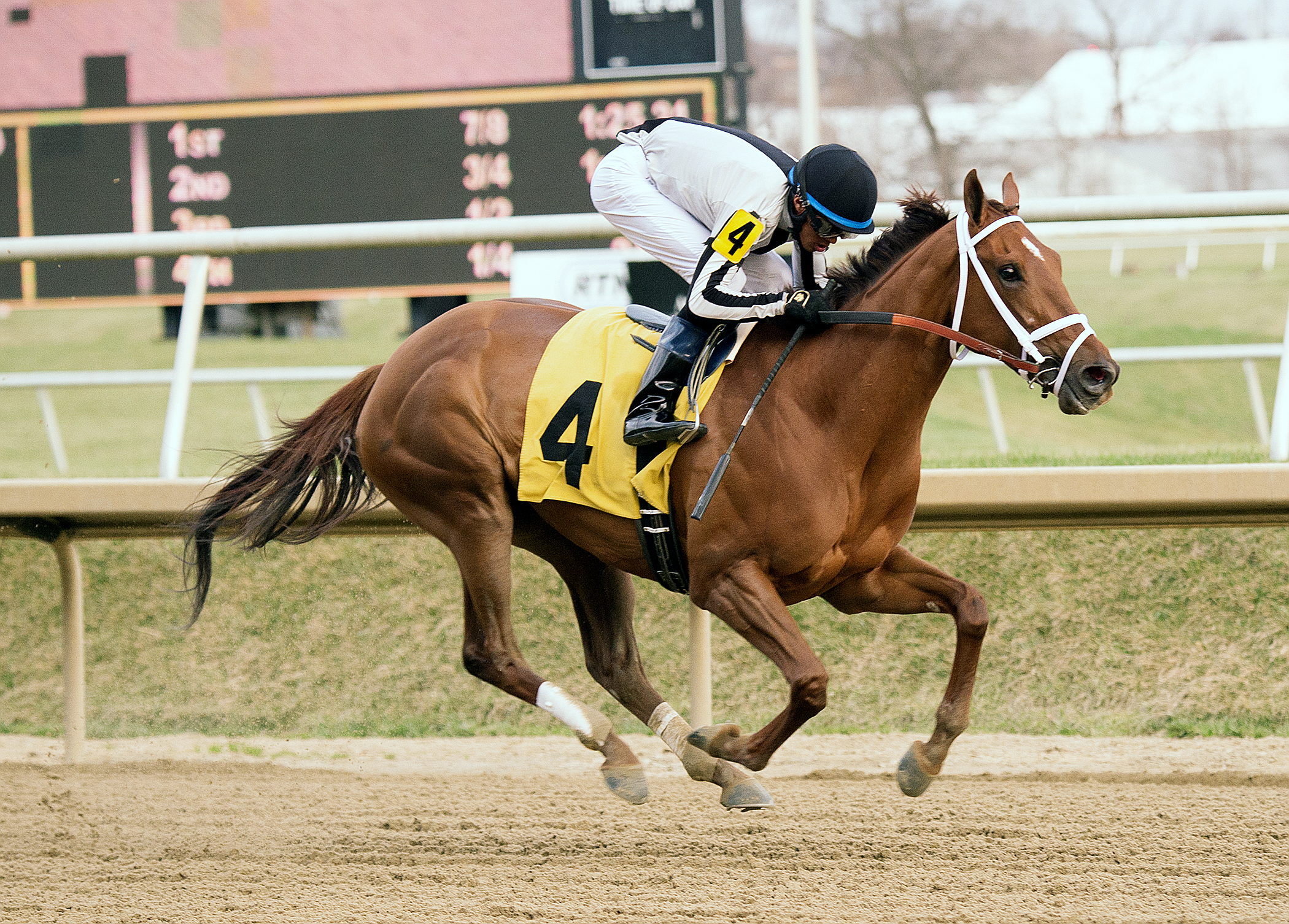 Sophia's Song wins the Caesar's Wish